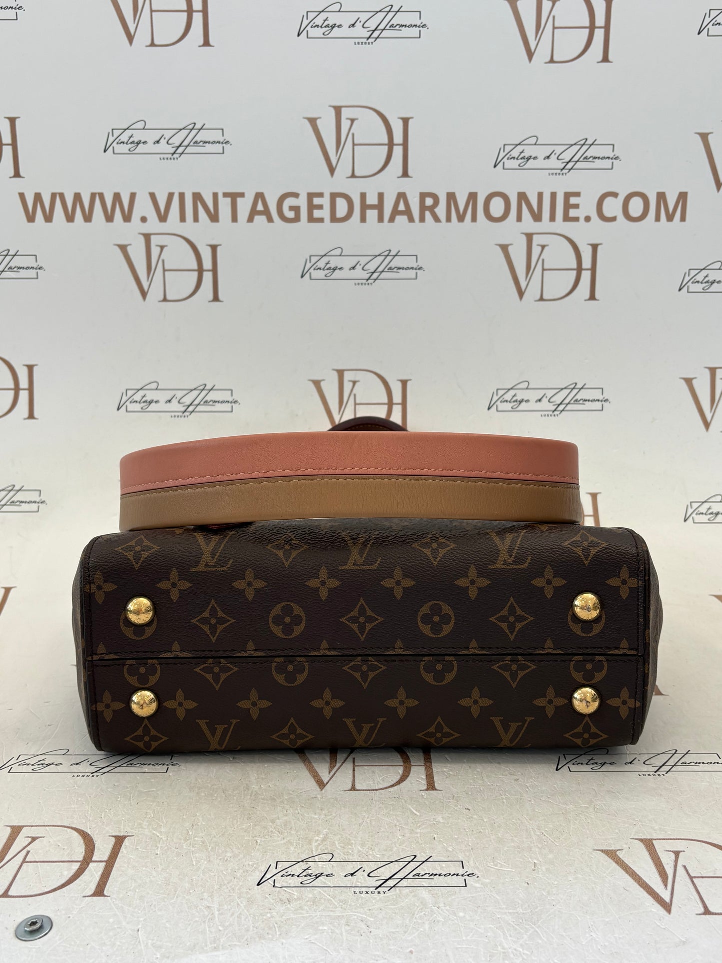 201487 - Louis Vuitton Cluny