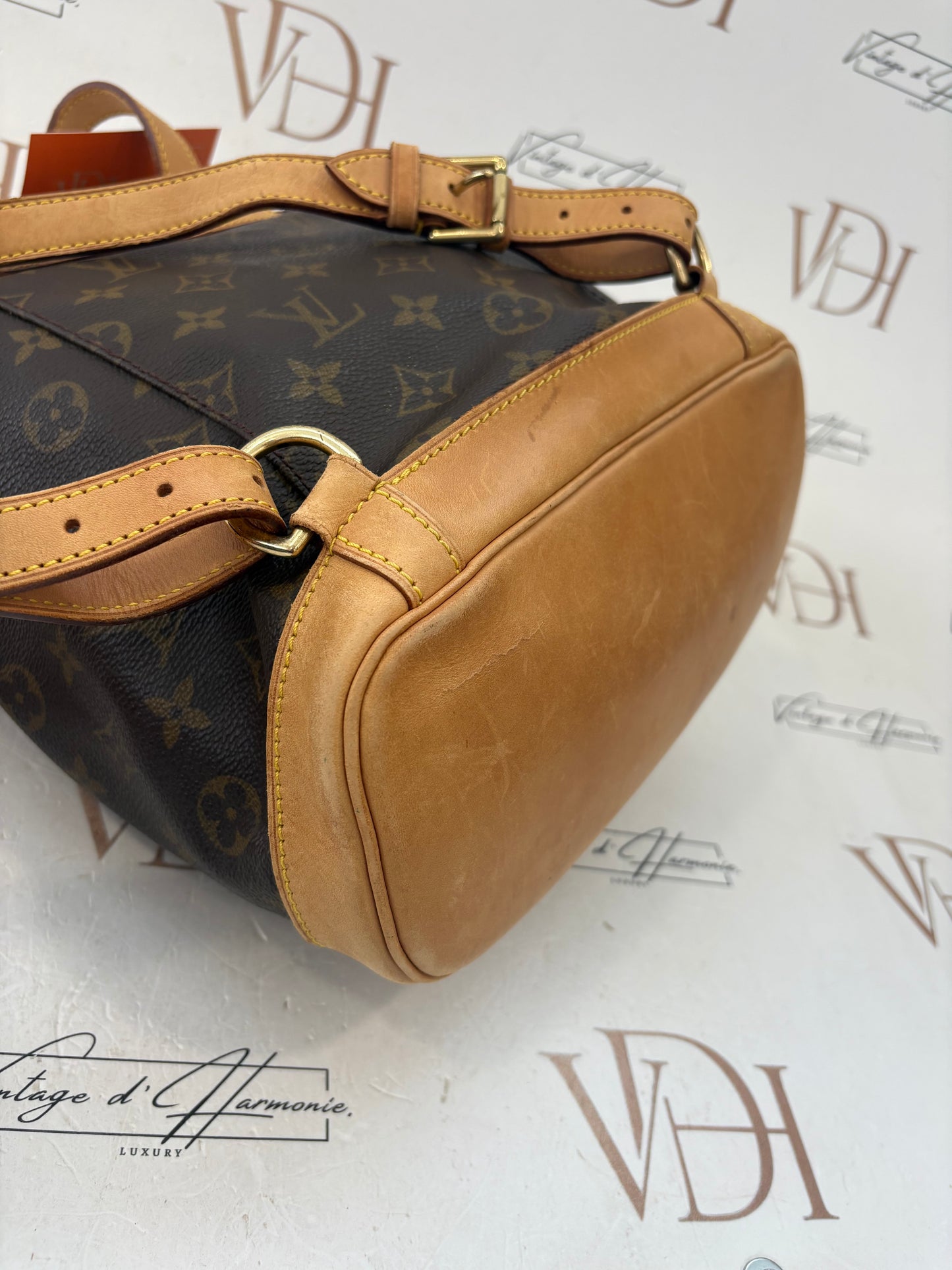 018056 - Louis Vuitton Montsouris MM