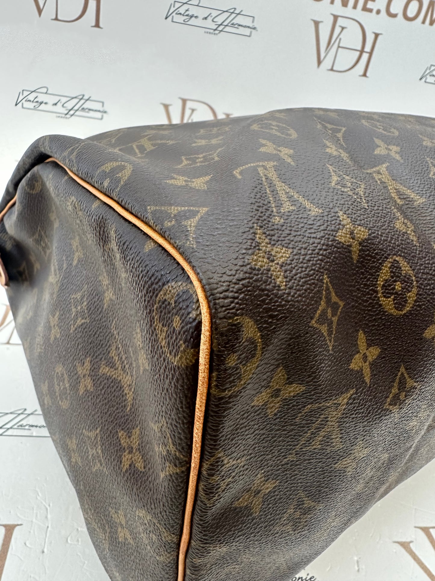 017930 - Louis Vuitton Speedy 40