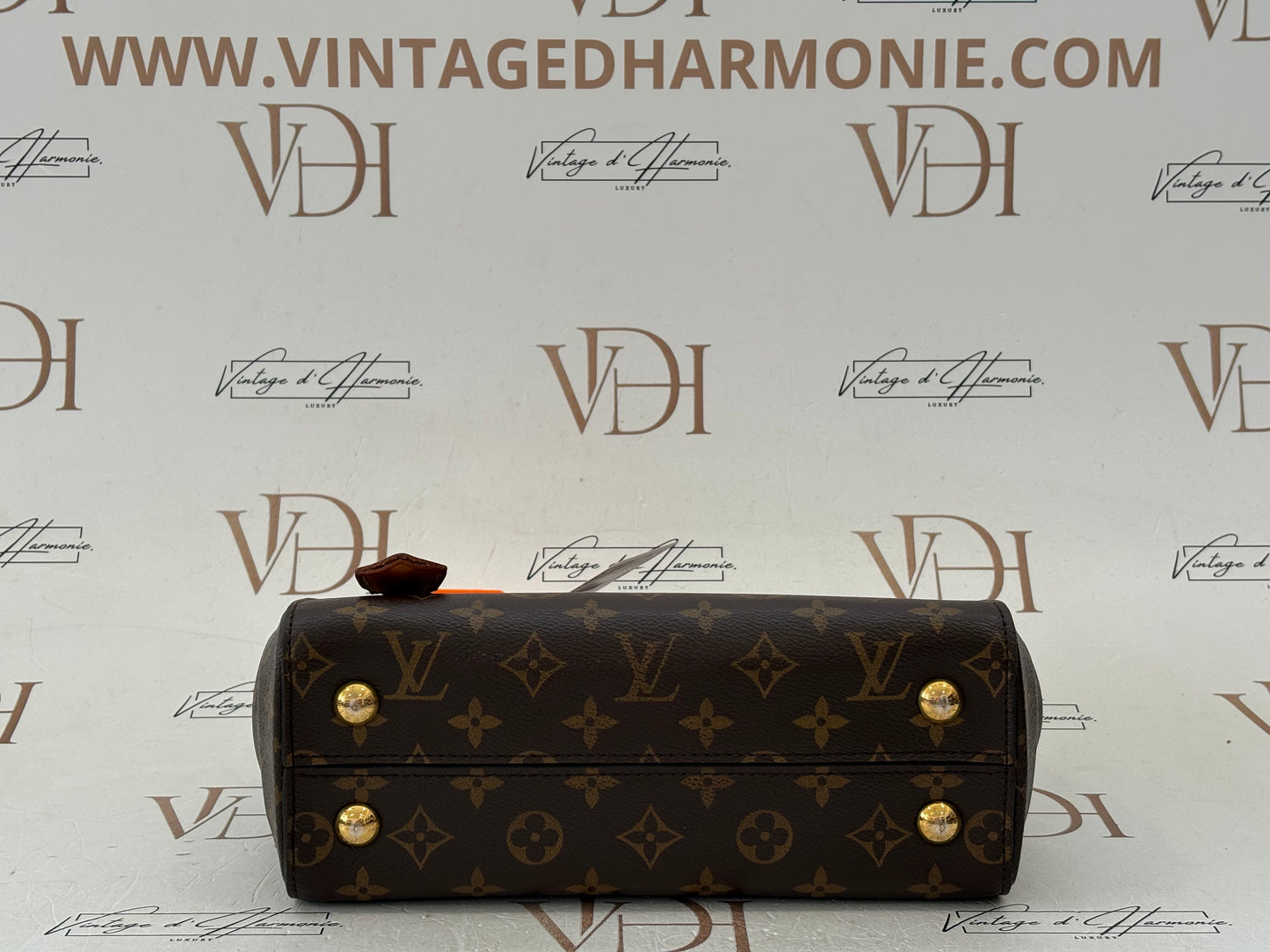 201103 - Louis Vuitton Cluny
