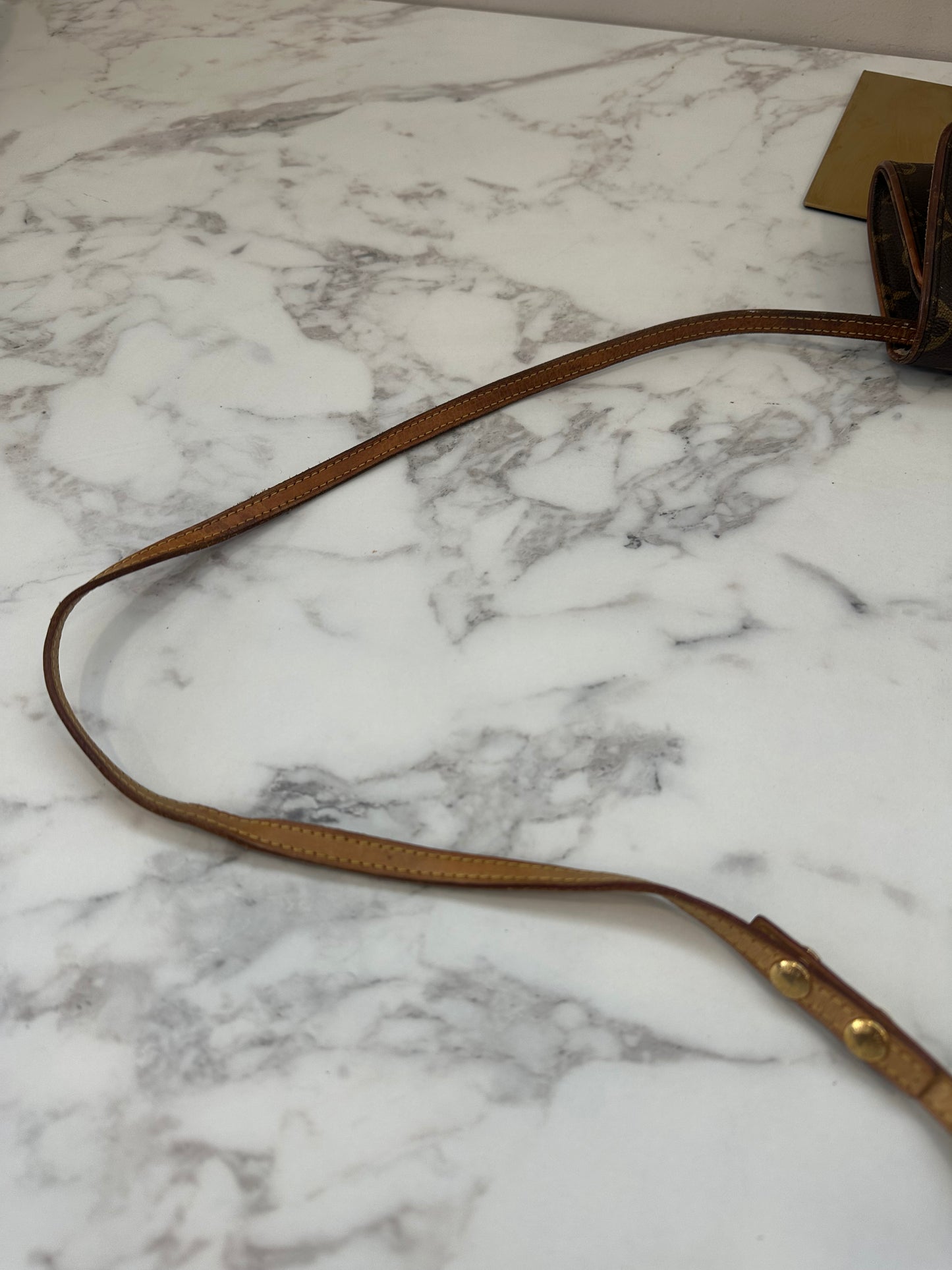 Louis Vuitton Pochette Twin GM