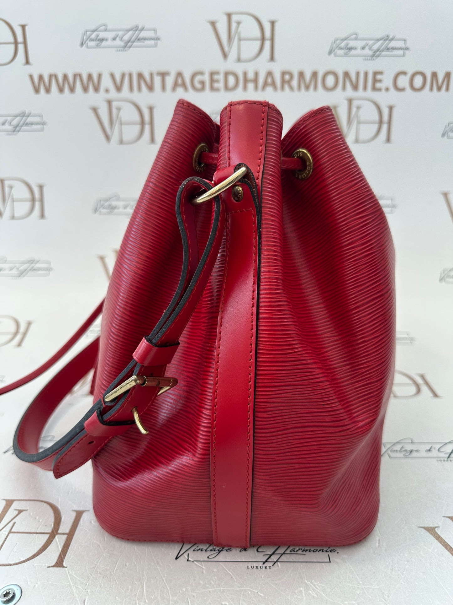 017933 - Louis Vuitton Red Epi Noè
