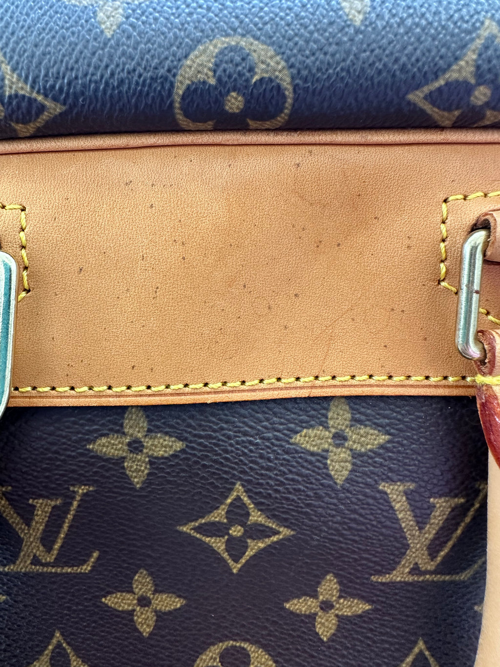 Louis Vuitton Deauville