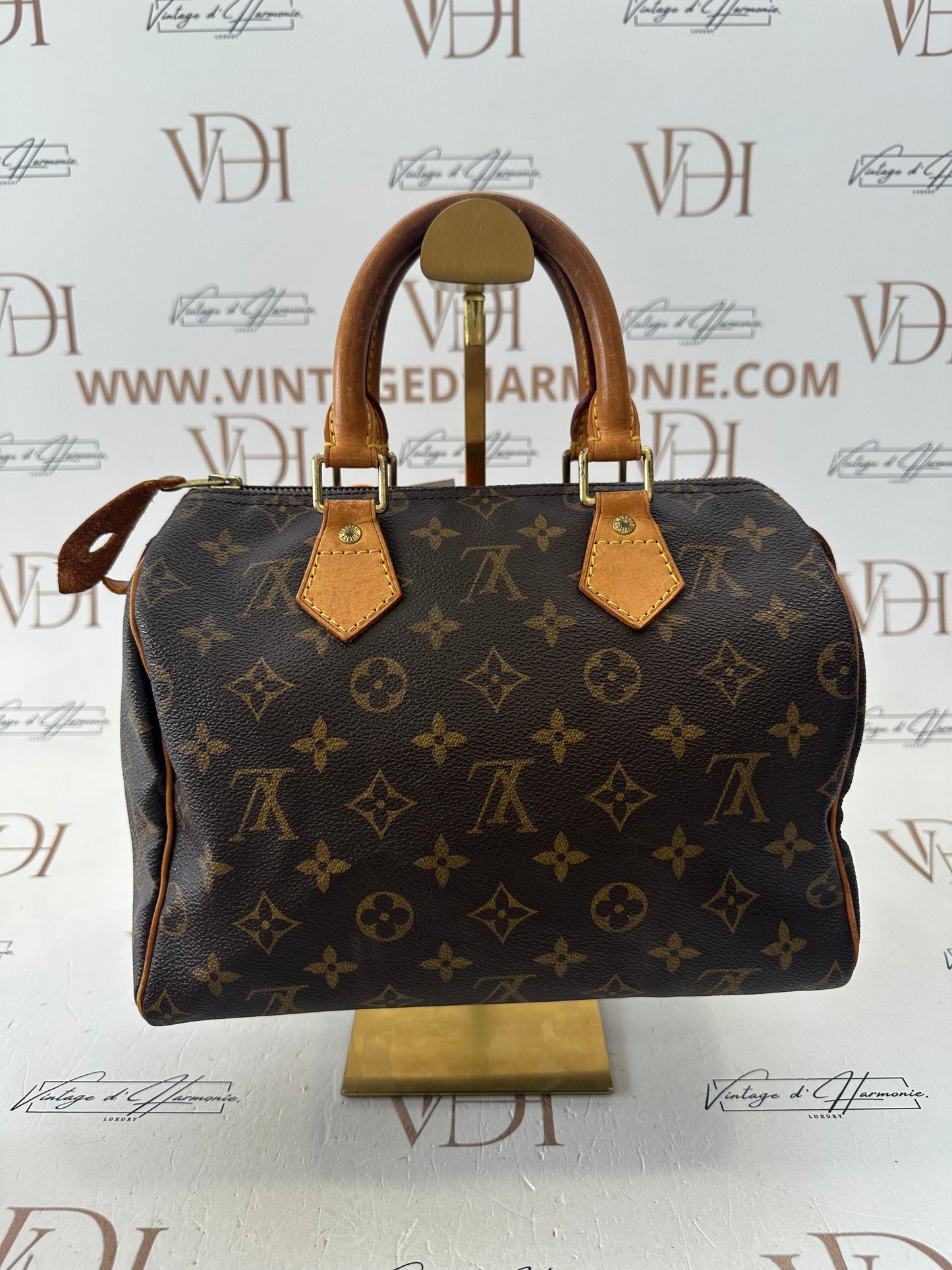 018033 - Louis Vuitton Speedy 25