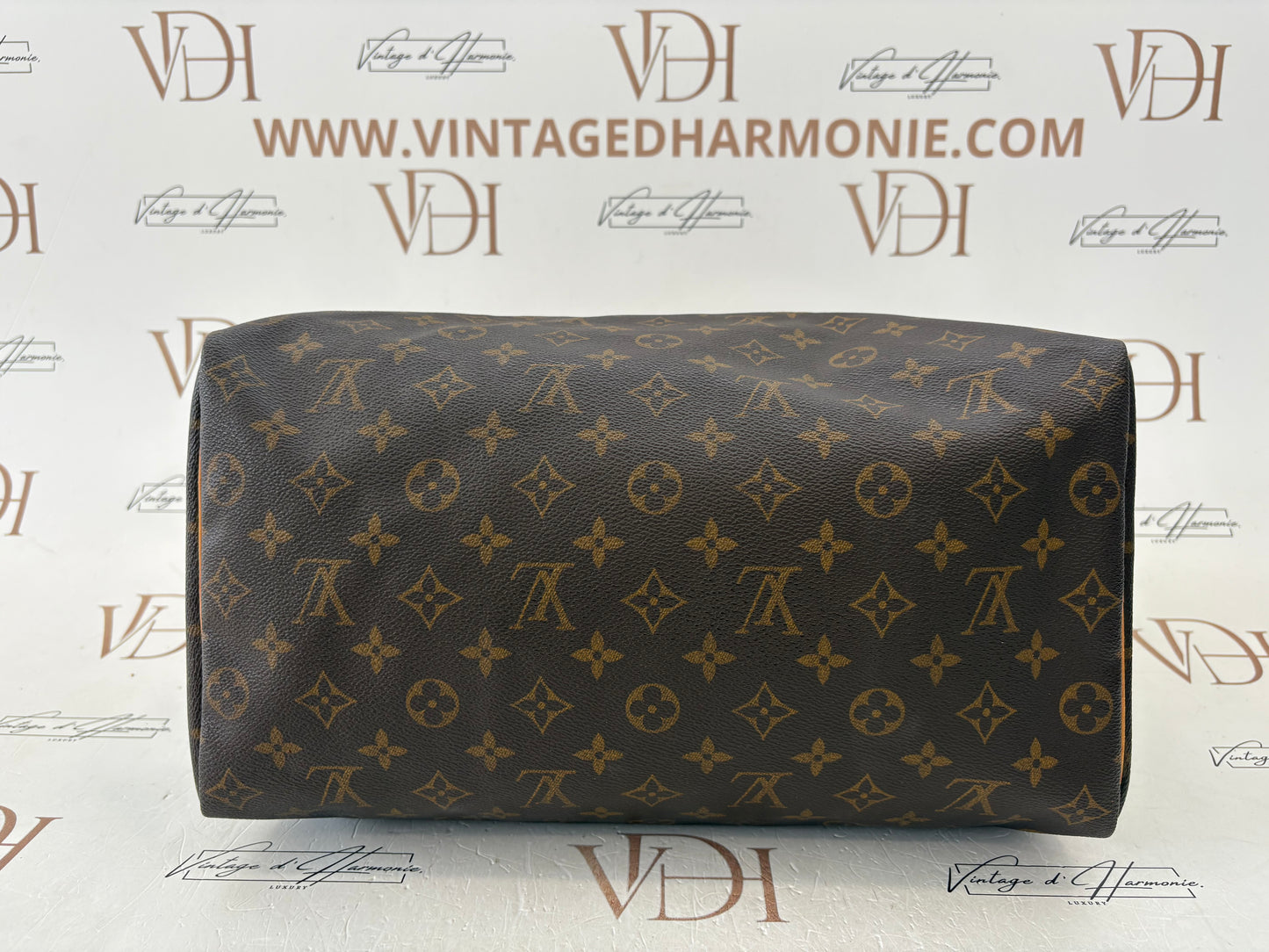 018787 - Louis Vuitton Speedy 35