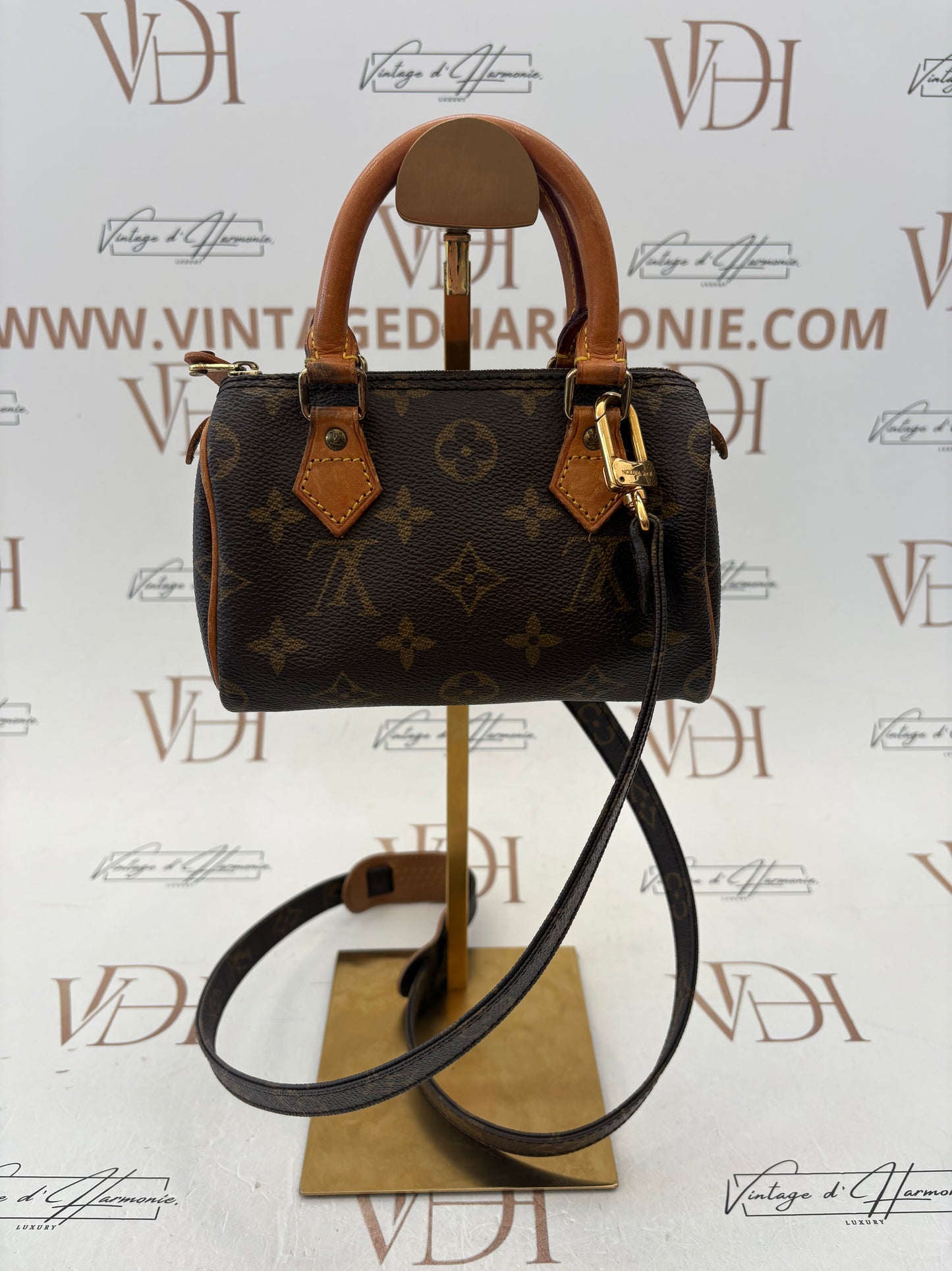 018827 - Louis Vuitton Mini Speedy