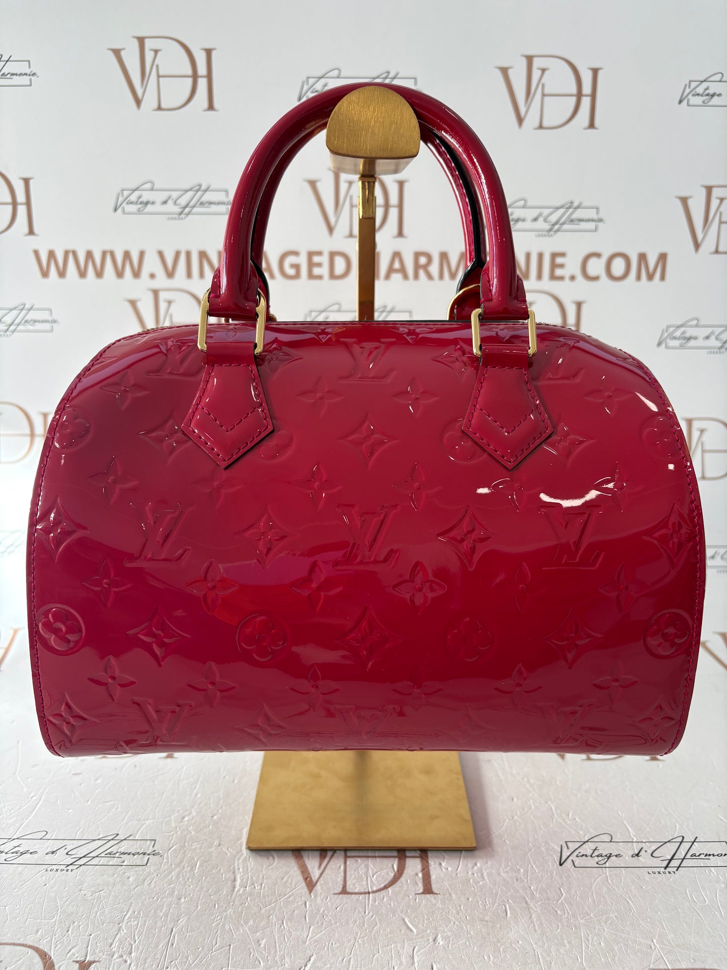 018883 - Louis Vuitton Vernis Montana