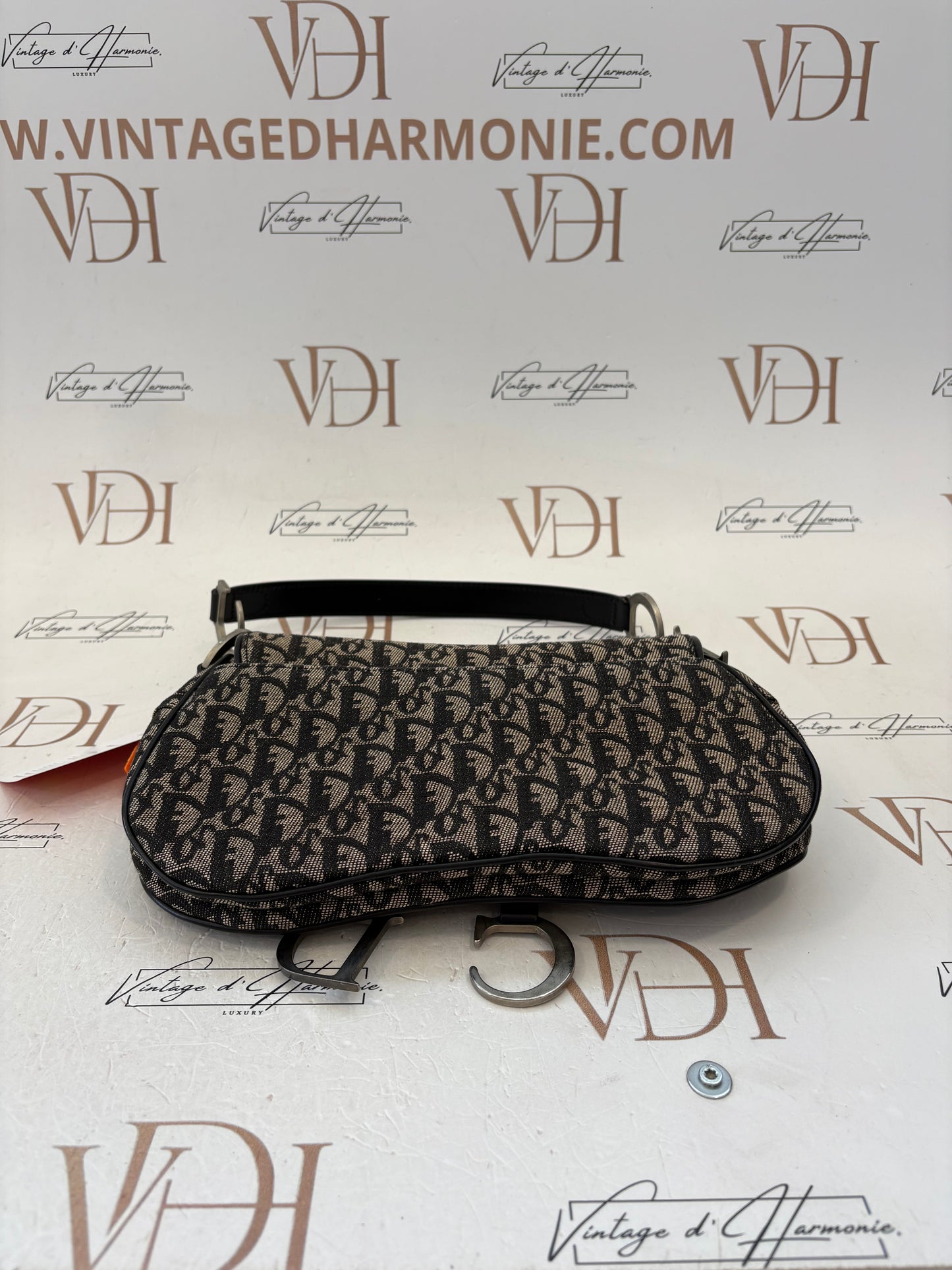 018199 - Dior Trotter Saddle