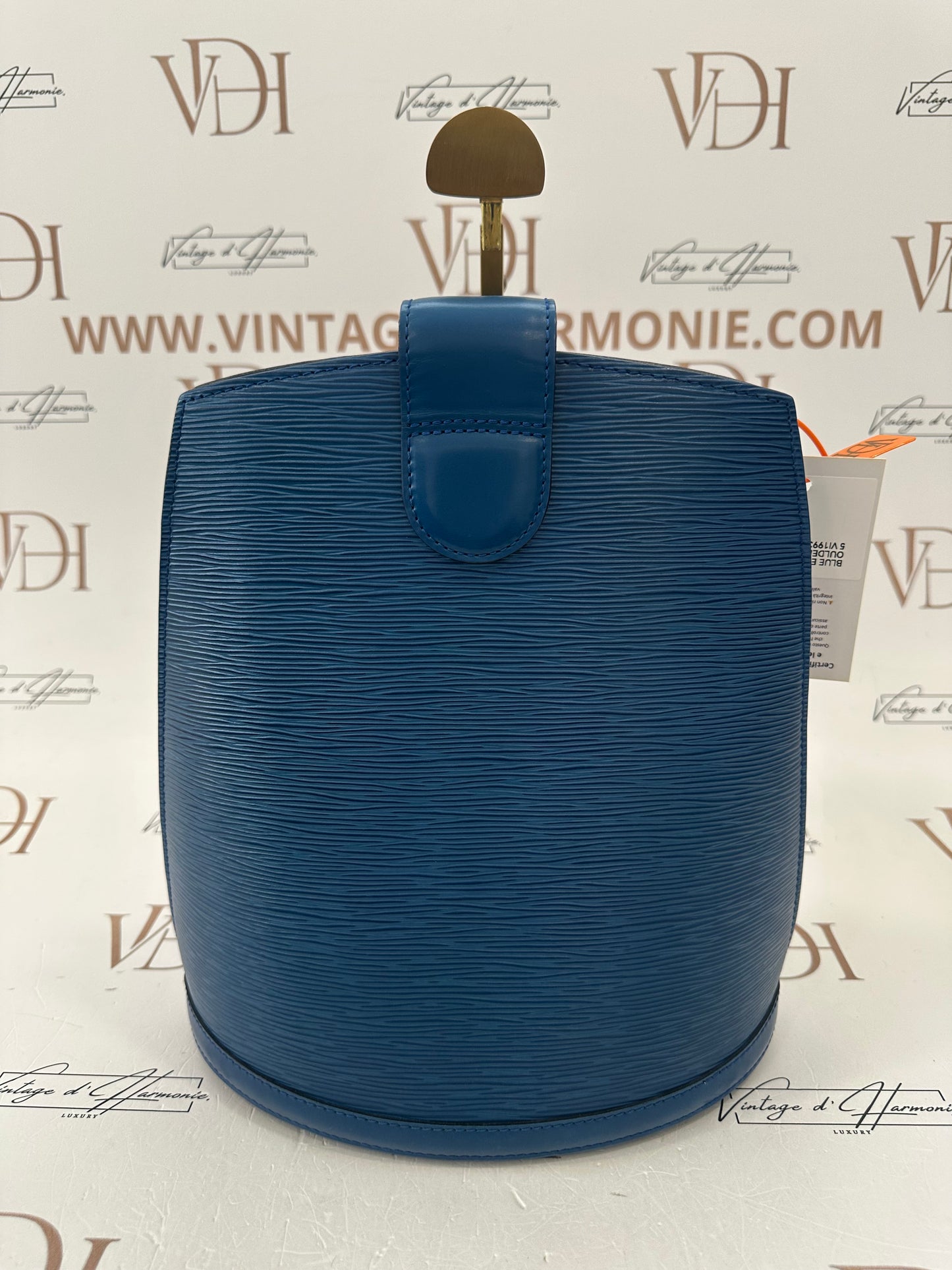 017799 - Louis Vuitton Epi Blue Cluny