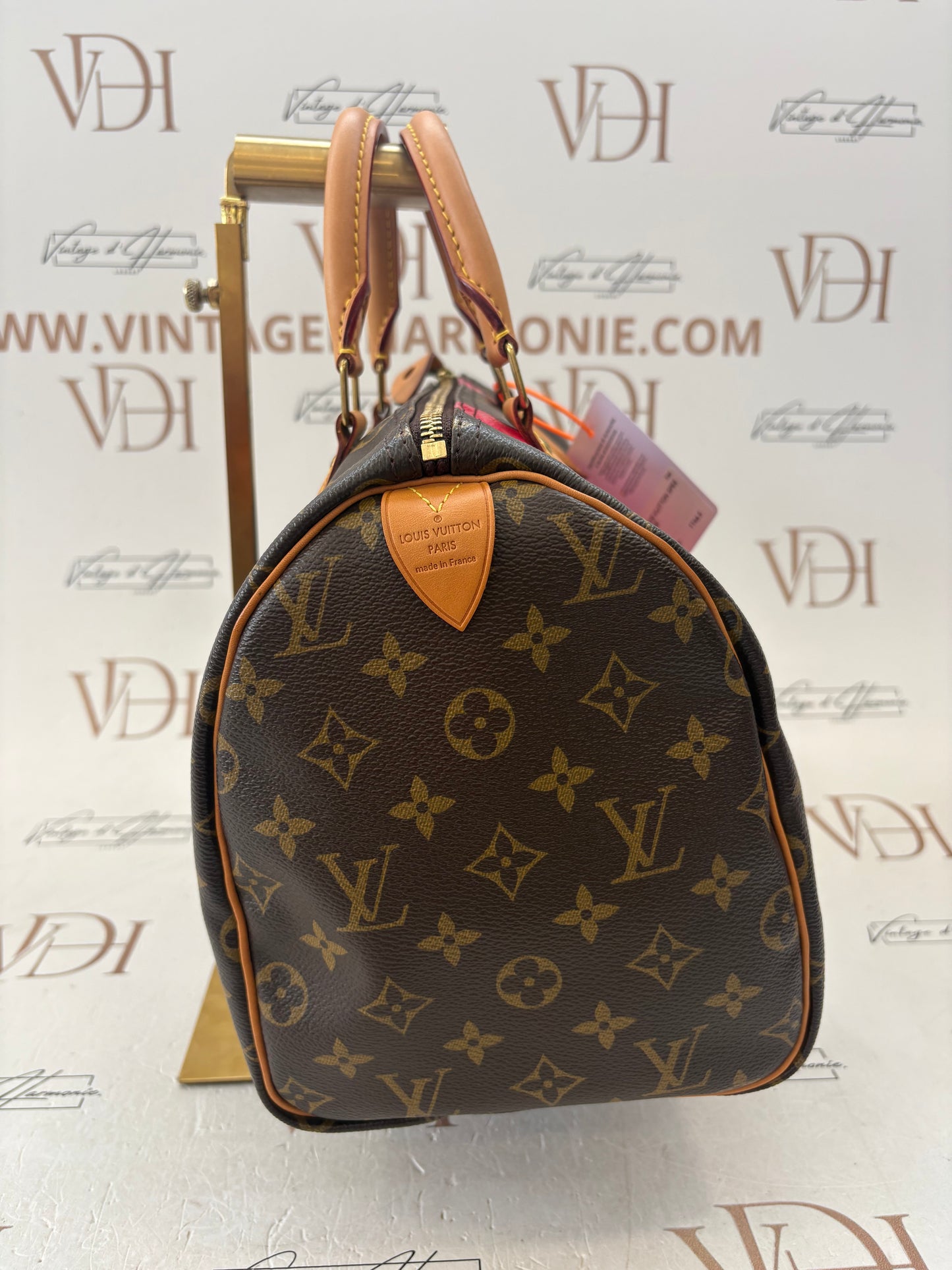 384207 - Louis Vuitton Speedy 30