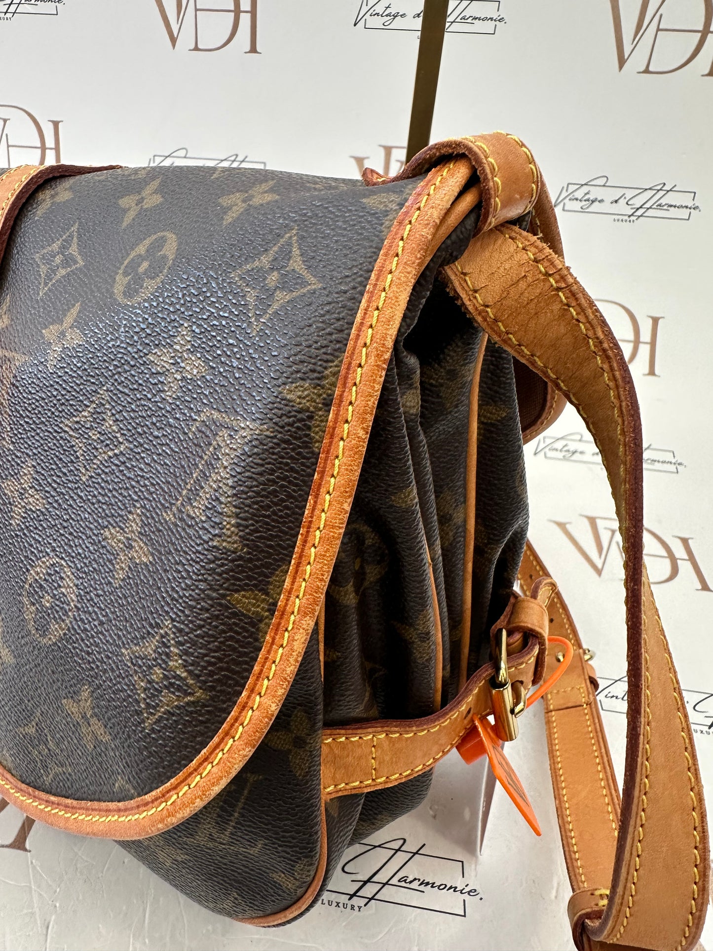 017887 - Louis Vuitton Saumur 30