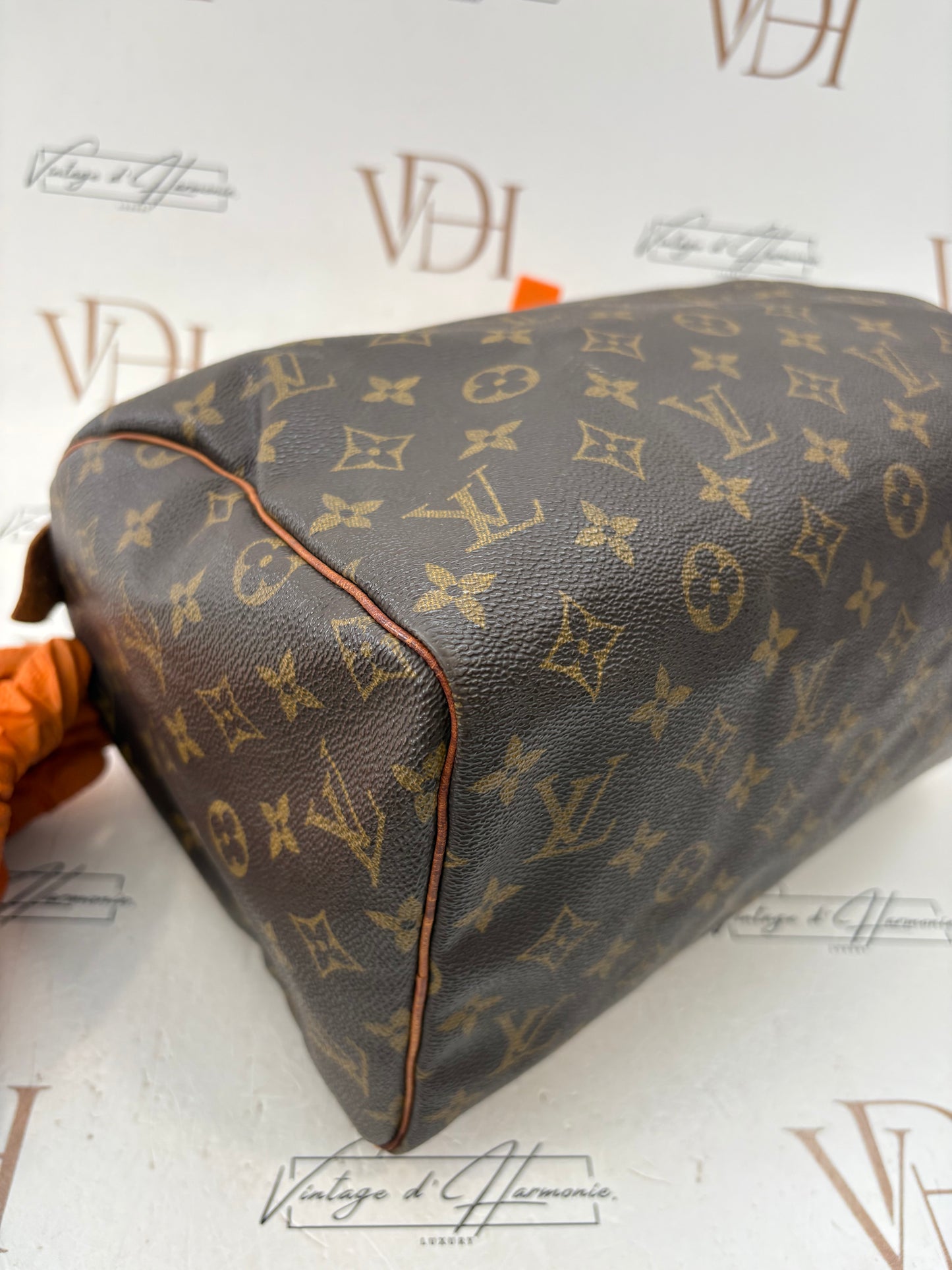 018744 - Louis Vuitton Speedy 30