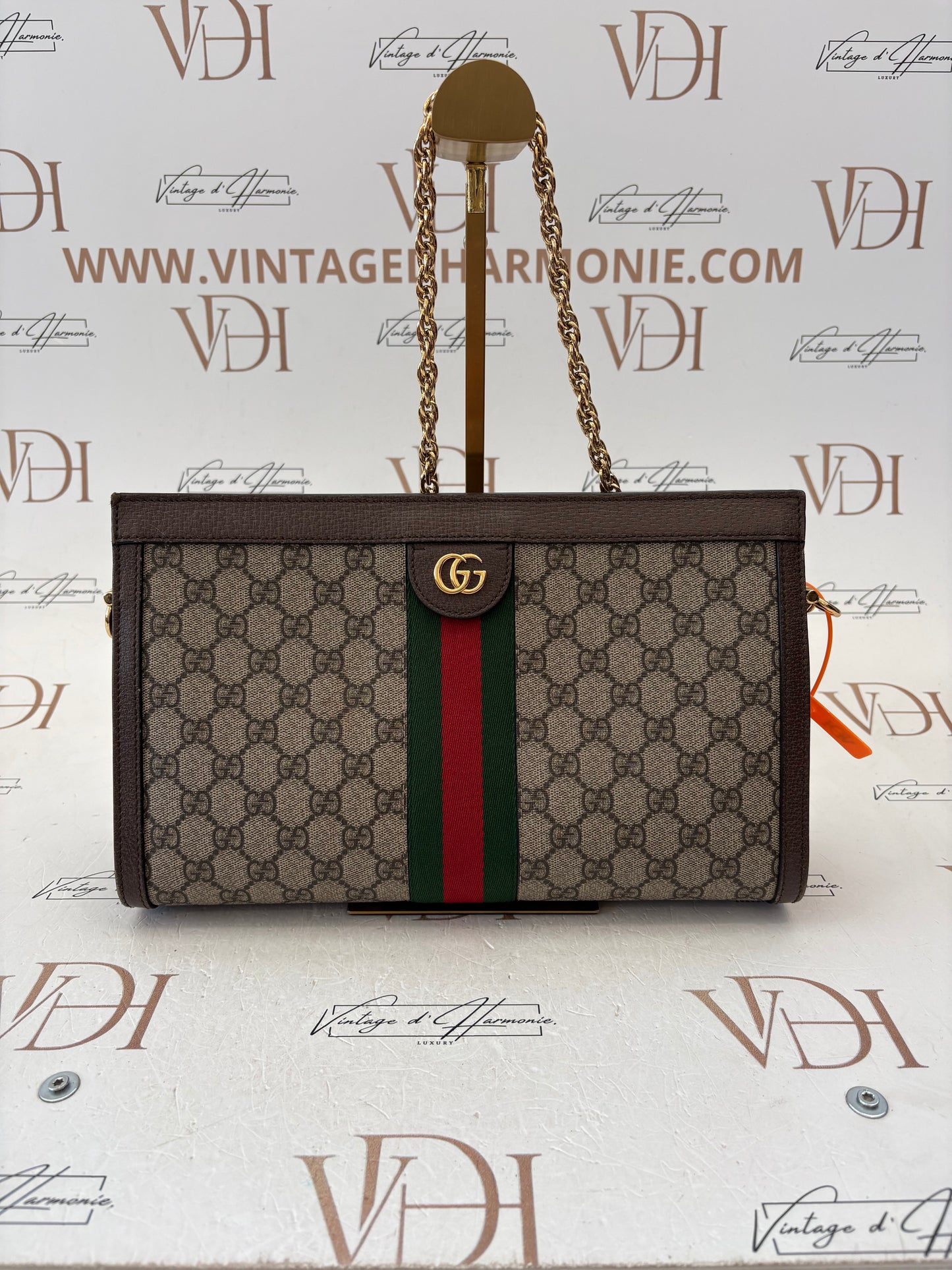 384213 - Gucci Ophidia