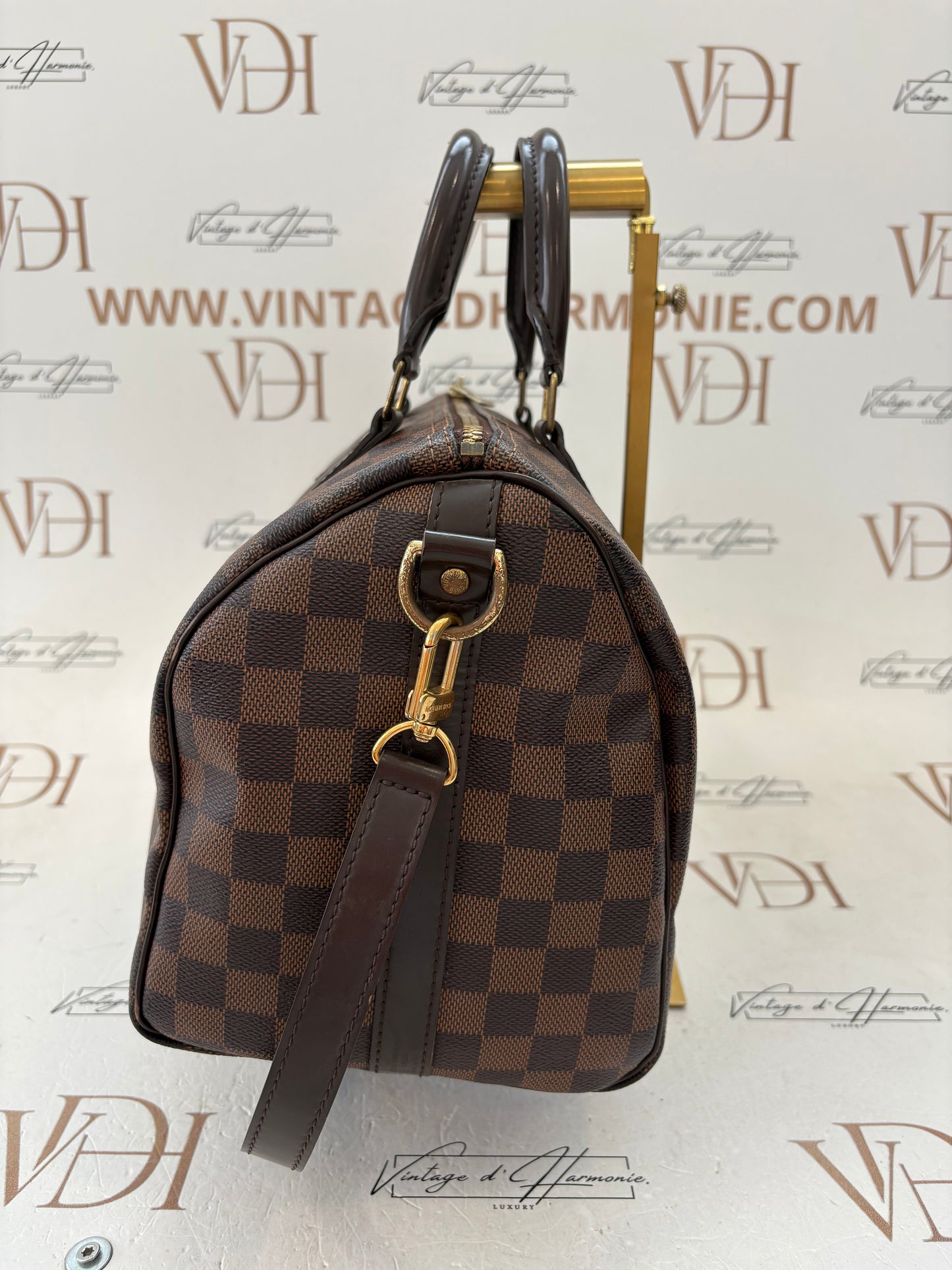 201773 - Louis Vuitton Speedy 30