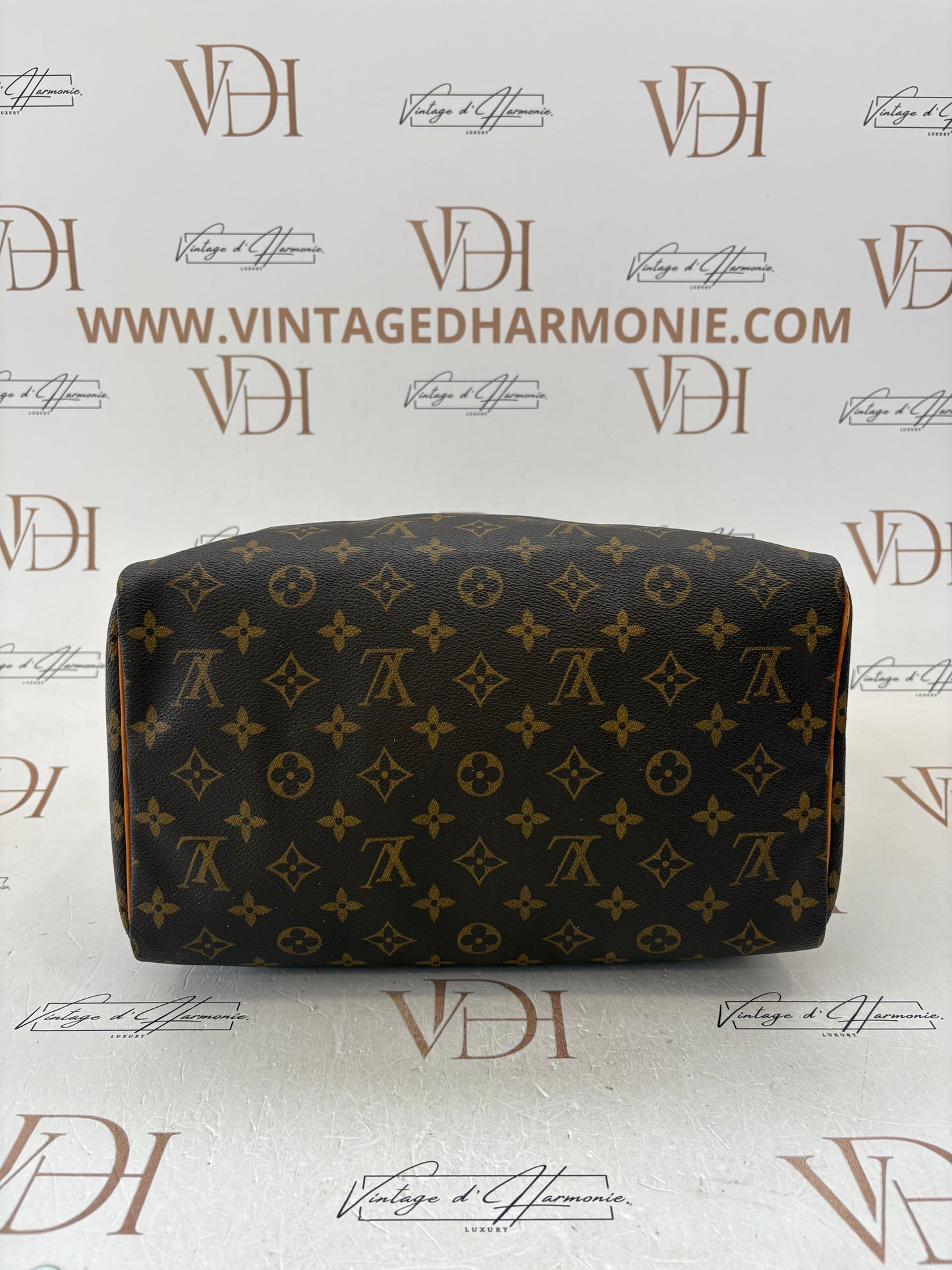 018356 - Louis Vuitton Speedy 30