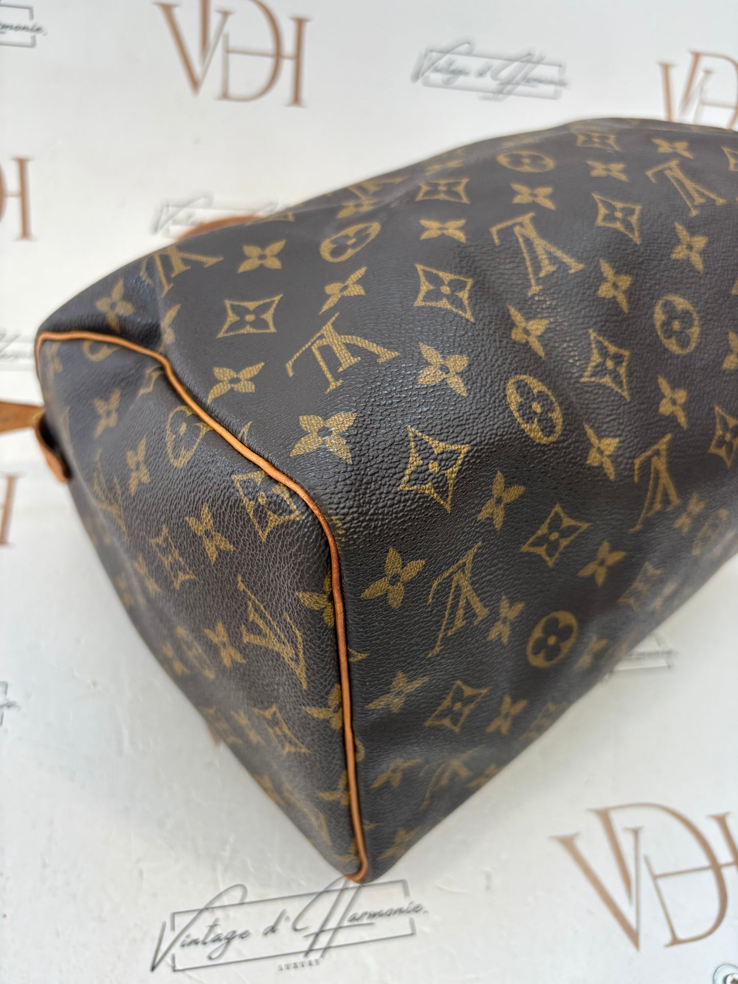 018559 - Louis Vuitton Speedy 30