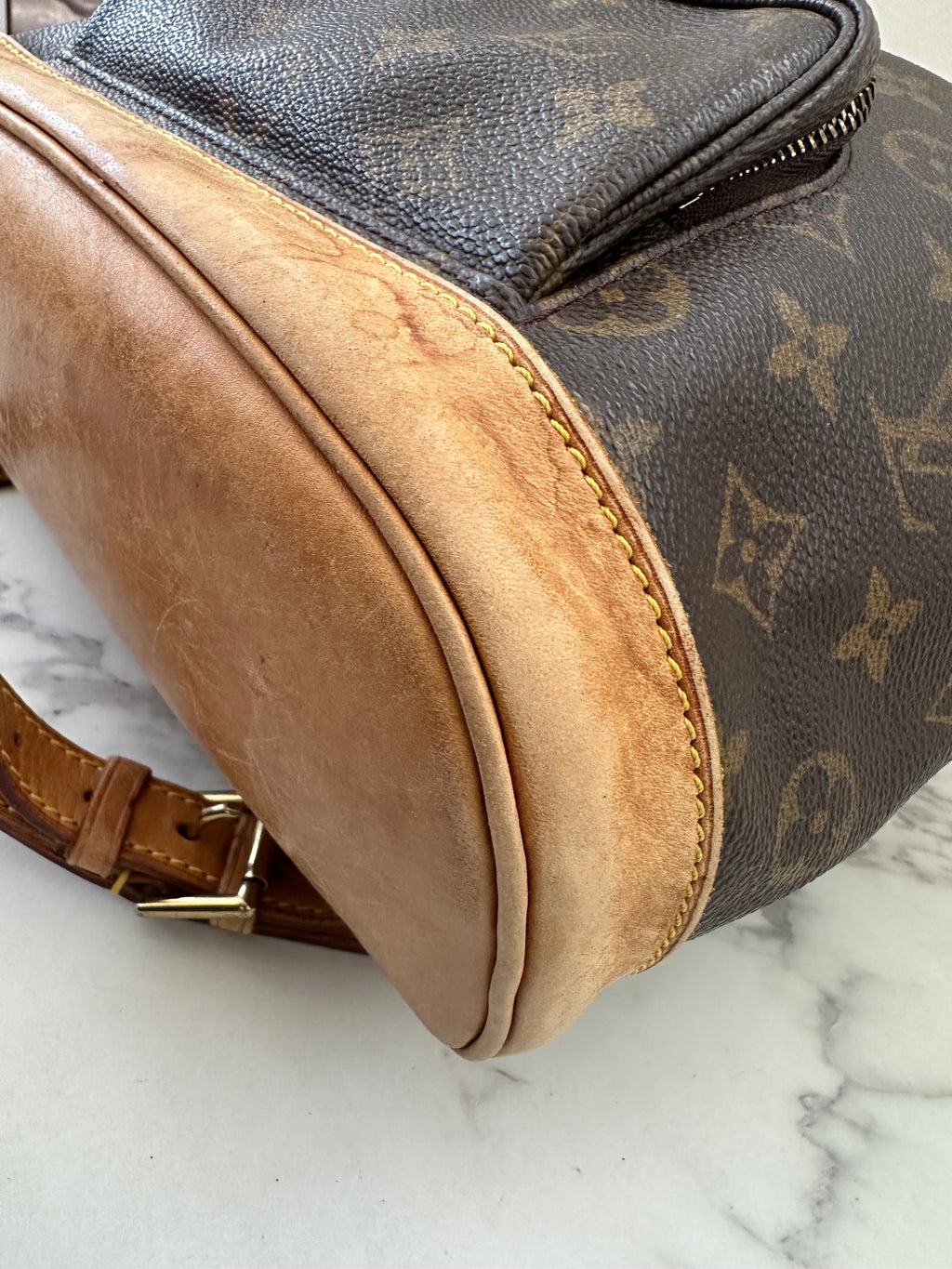 Louis Vuitton Montsouris MM