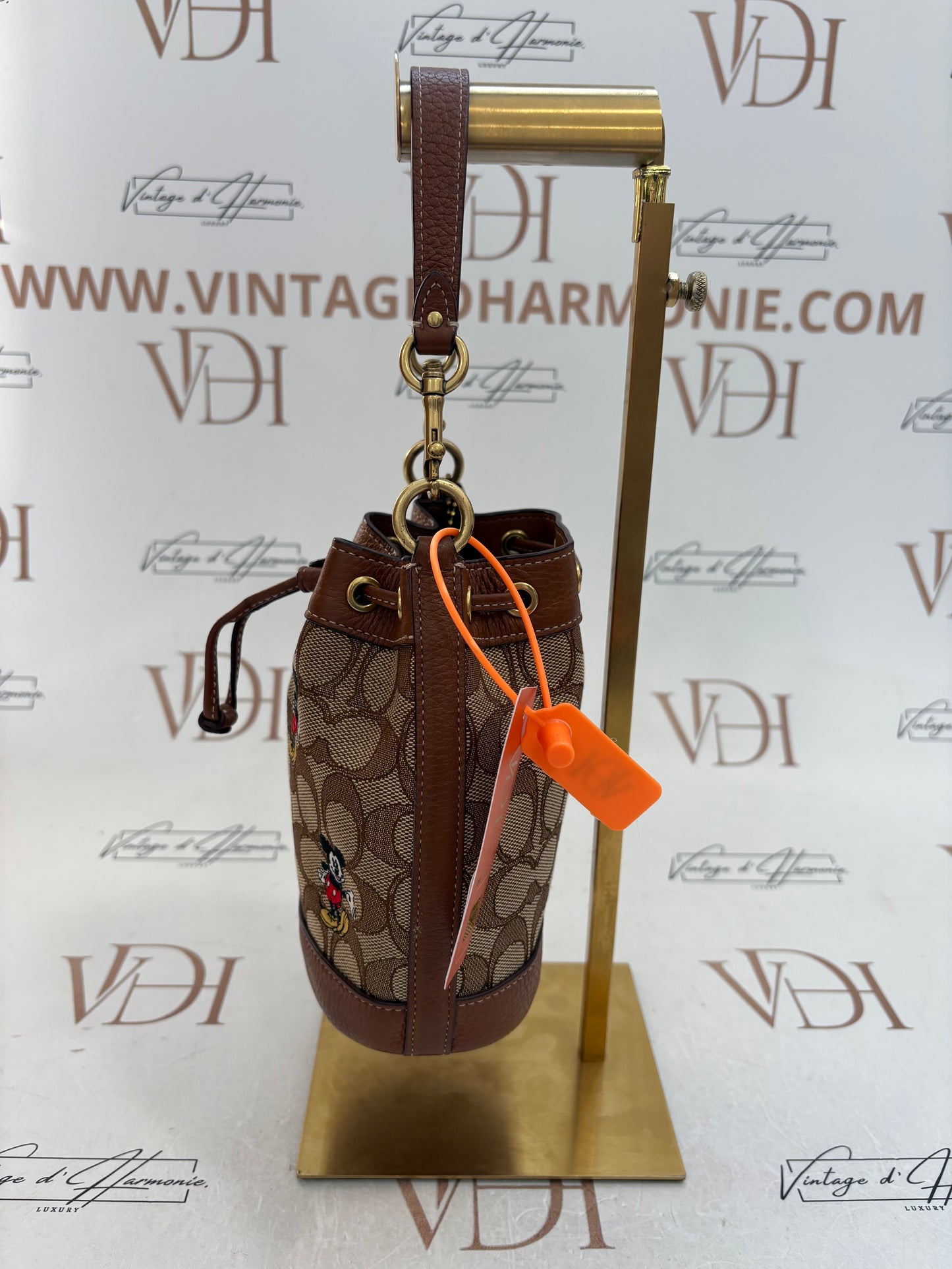 382692 - Coach Disney