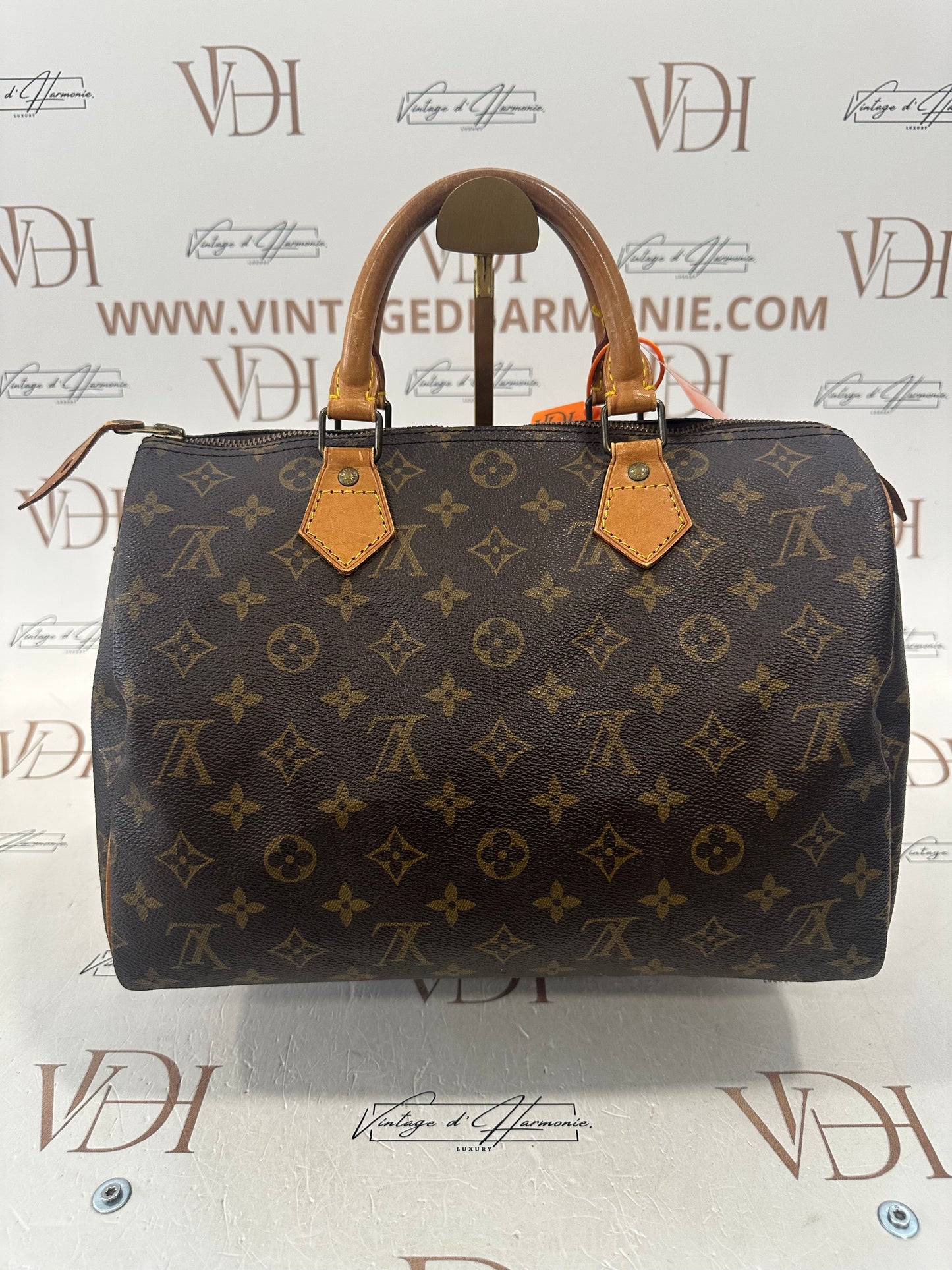 018723 - Louis Vuitton Speedy 30