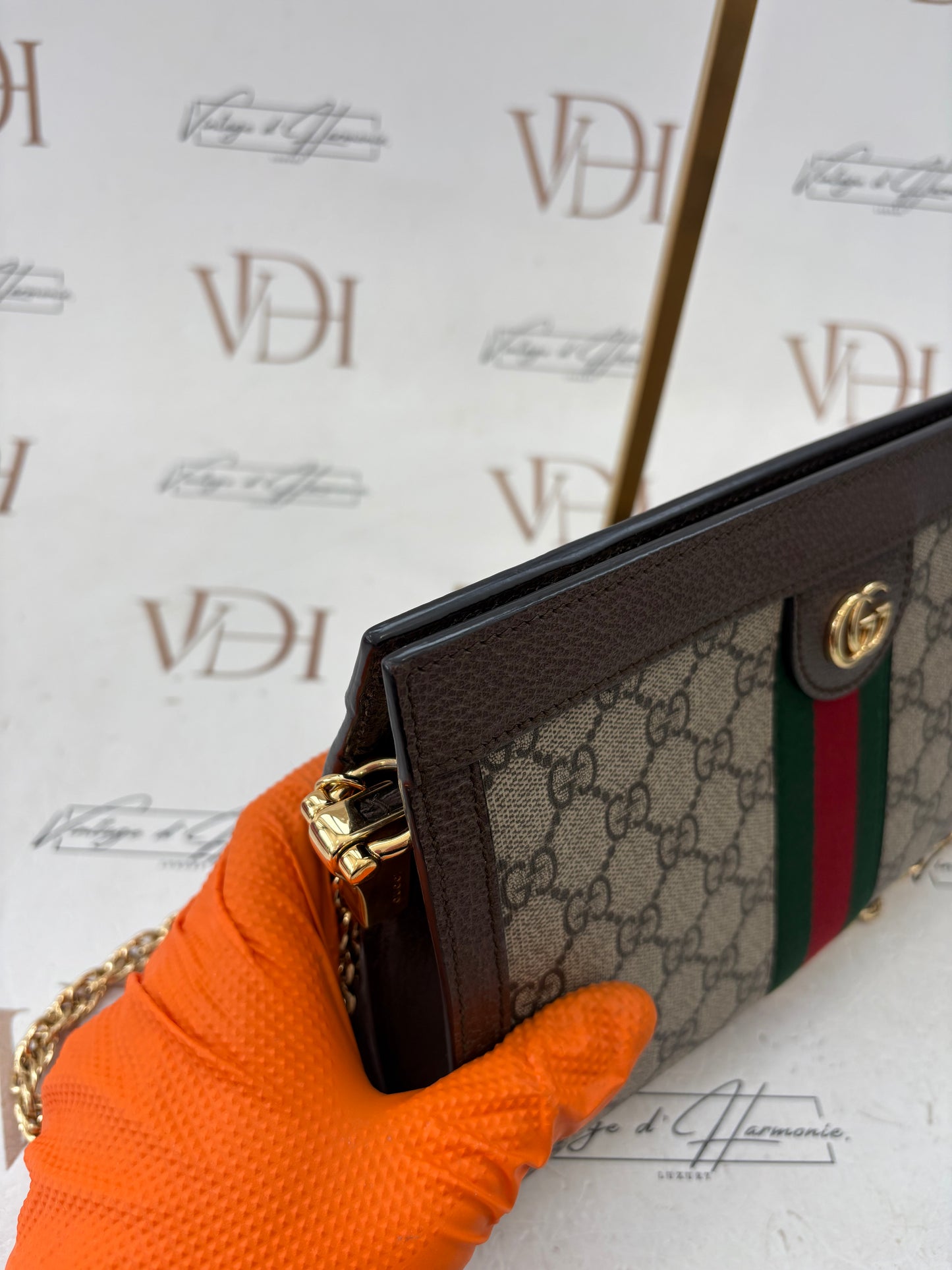 383956 - Gucci Ophidia