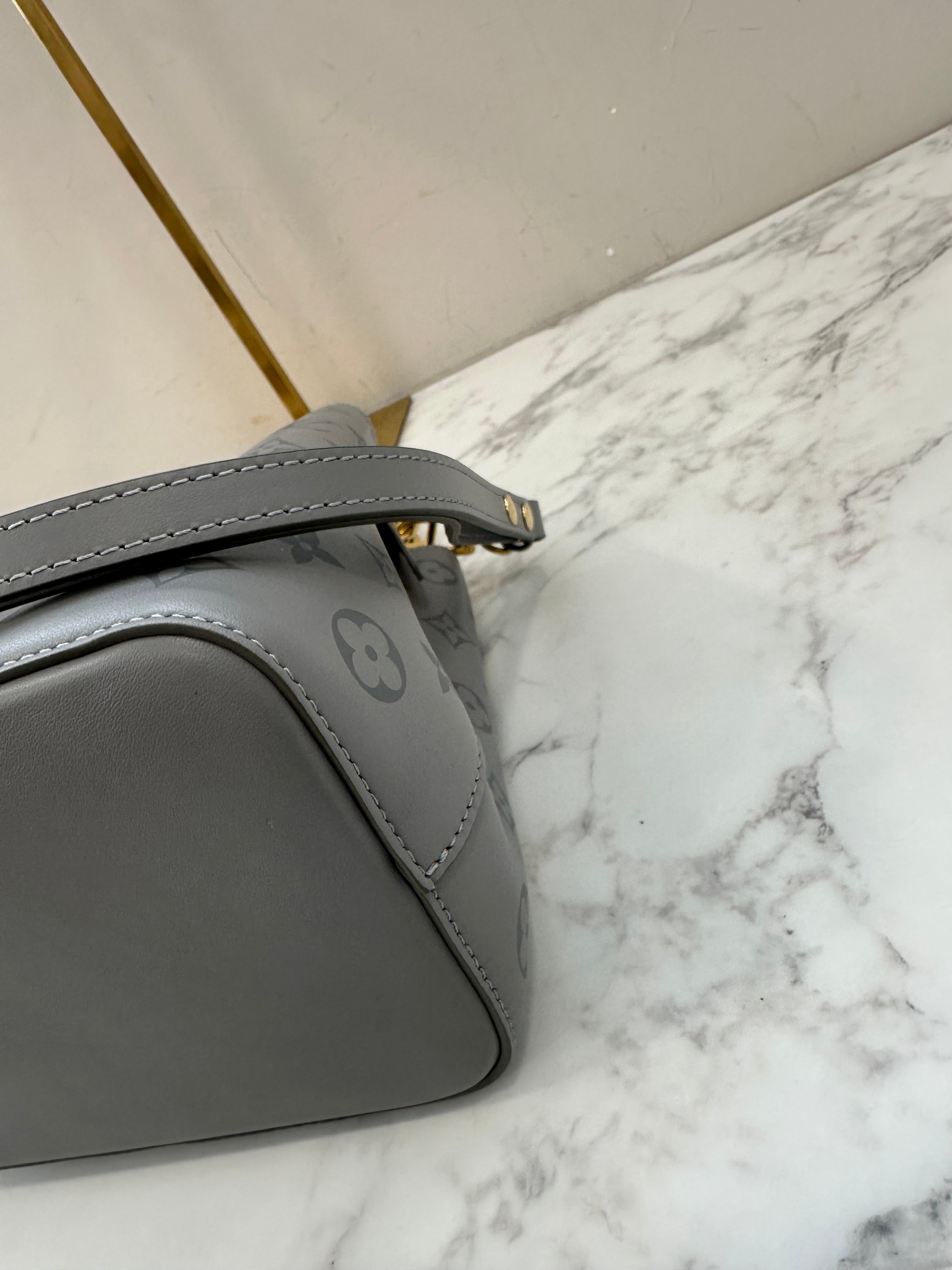 Louis Vuitton NeoNoé Gray