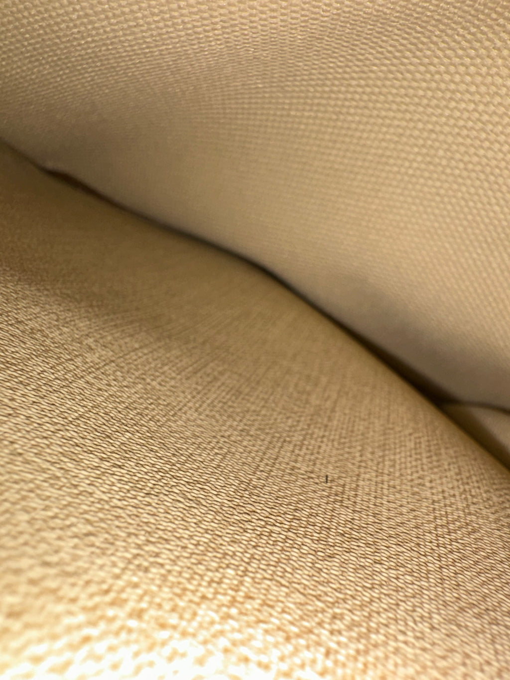 Louis Vuitton Deauville