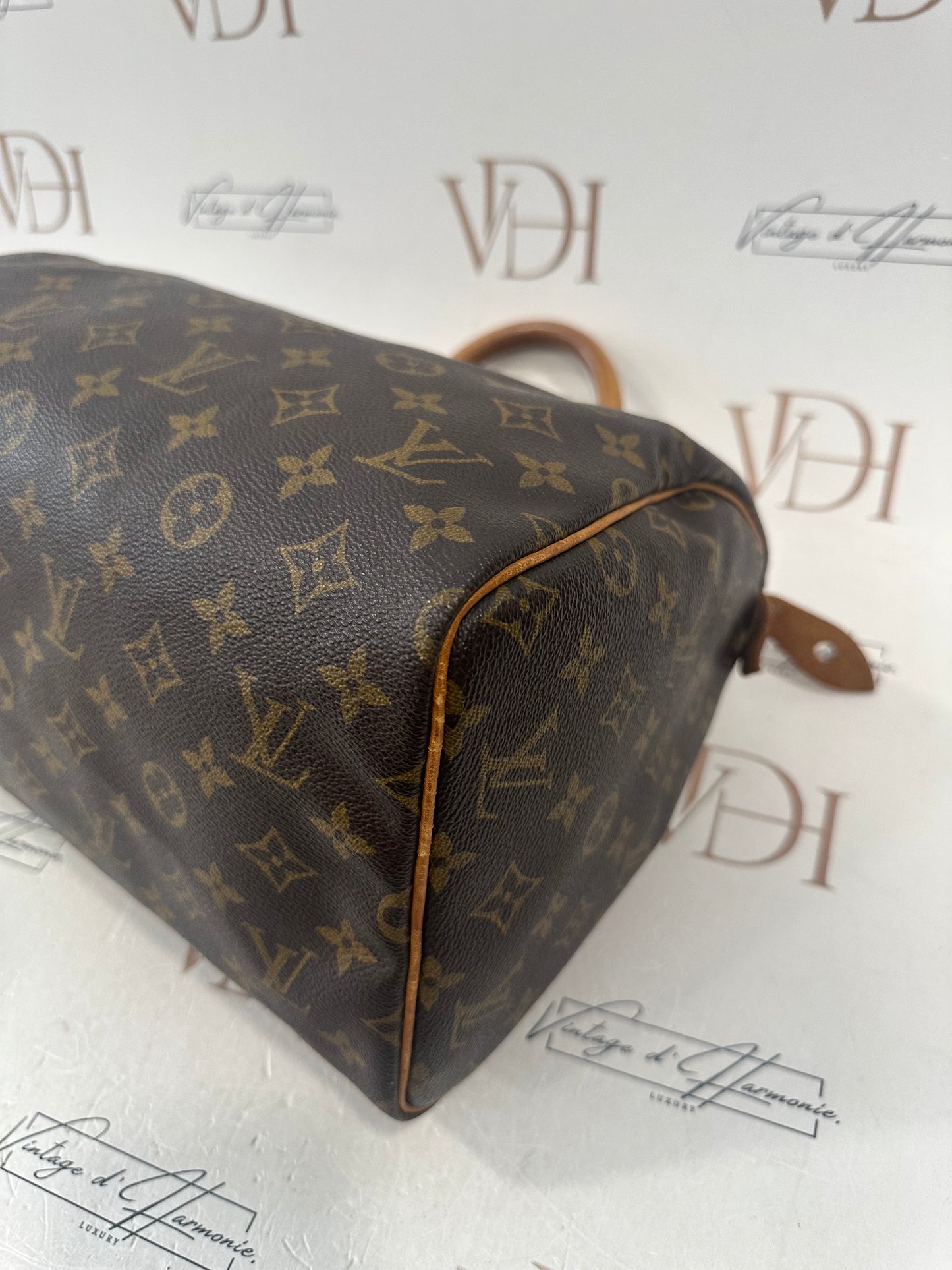 018723 - Louis Vuitton Speedy 30