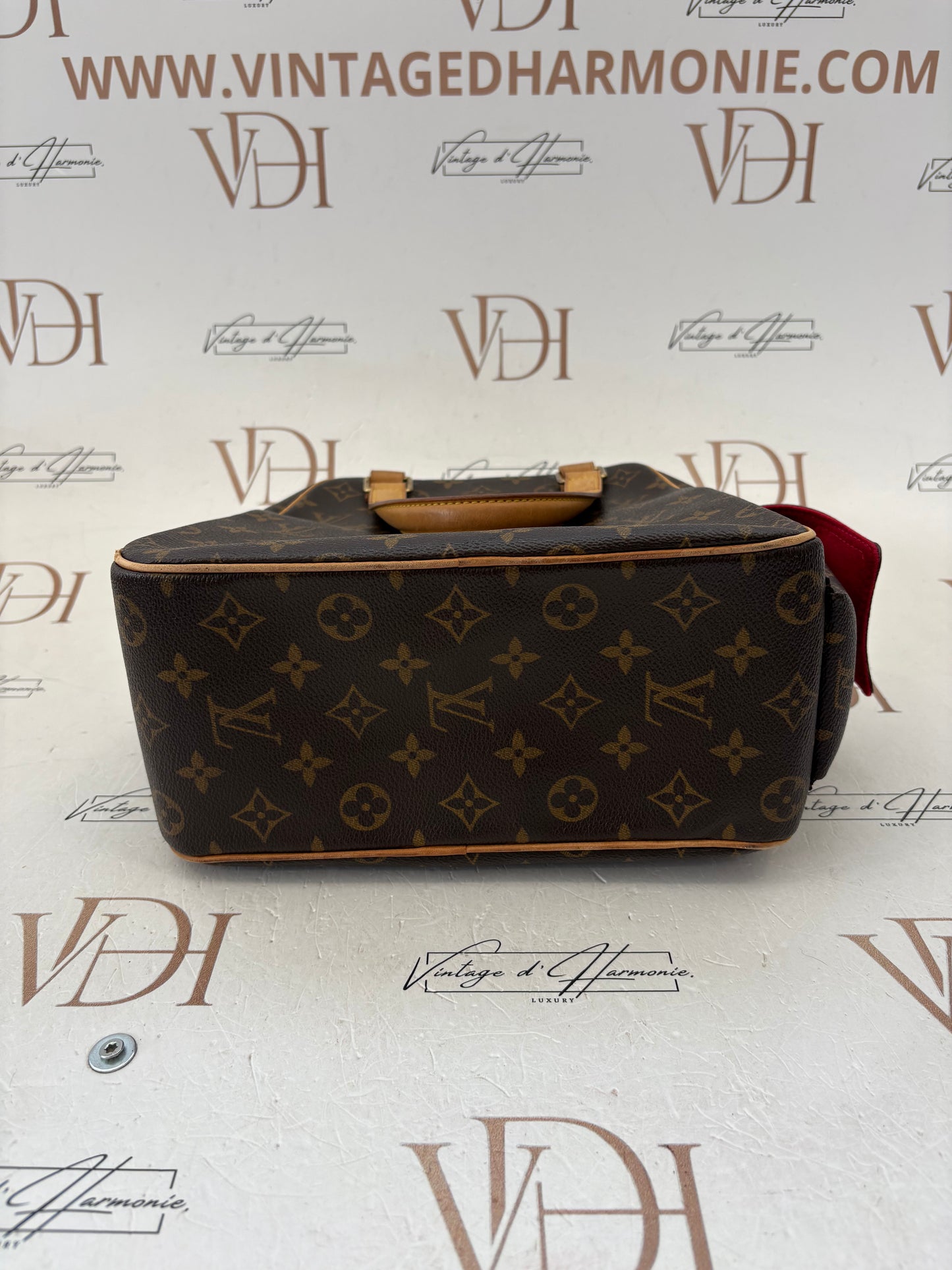 017872 - Louis Vuitton Monogram Excentricite