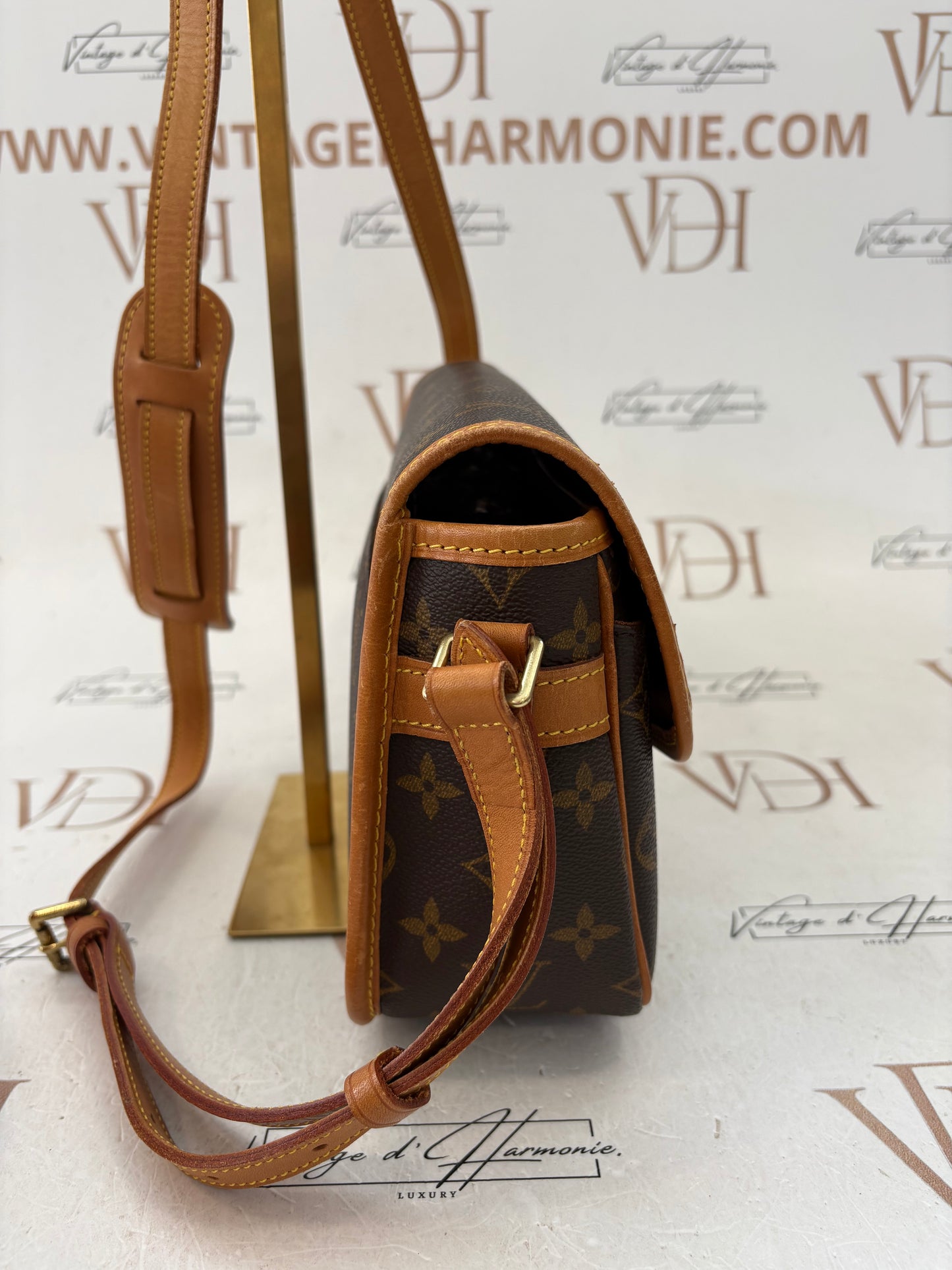 018600 - Louis Vuitton Sologne