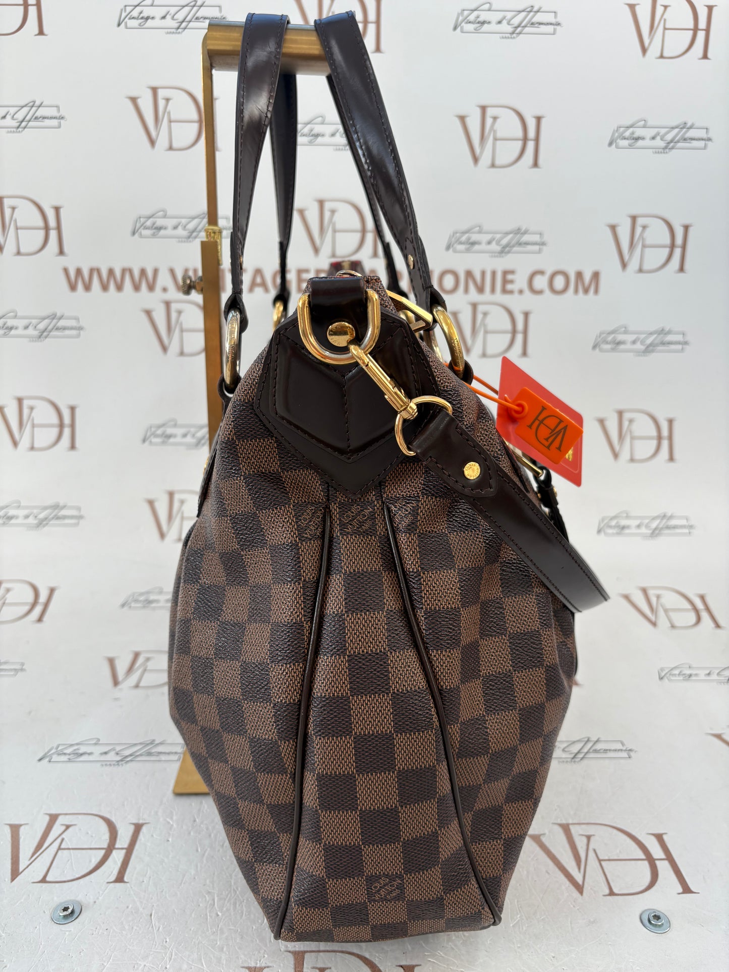 018528 - Louis Vuitton Damier Evora MM