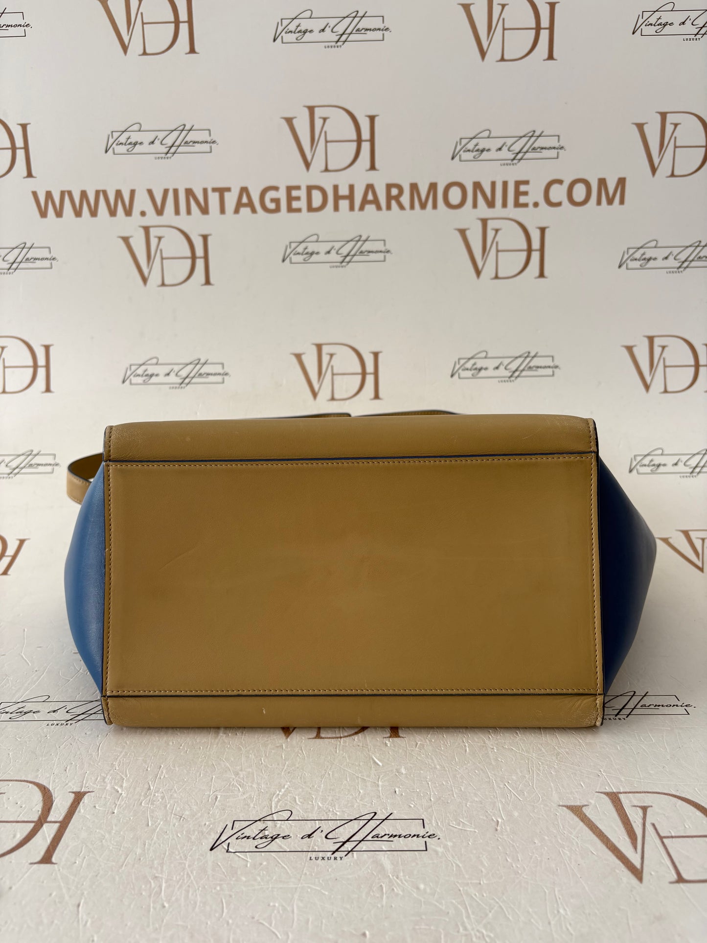 200976 - Céline Trapeze