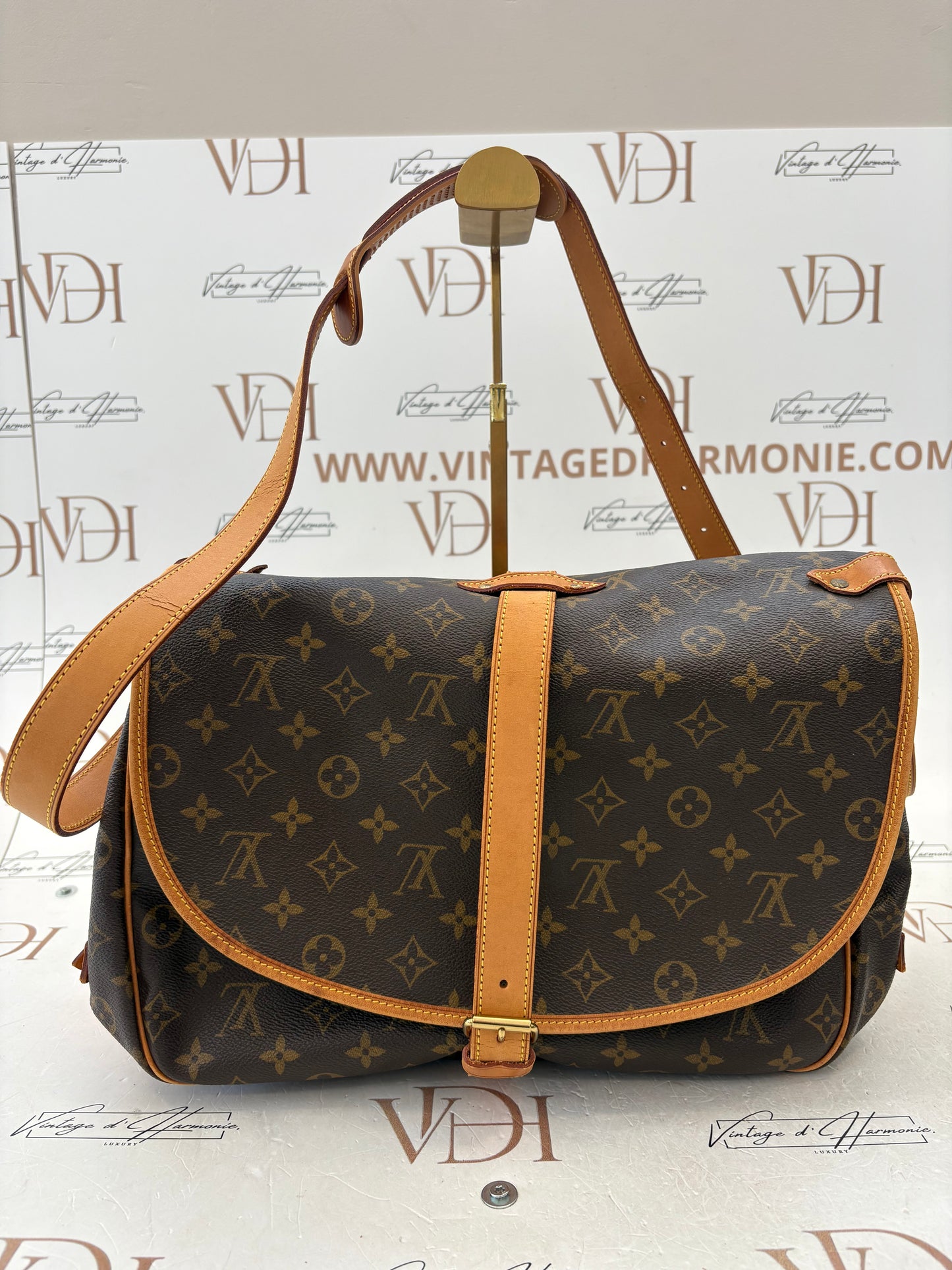 018765 - Louis Vuitton Saumur