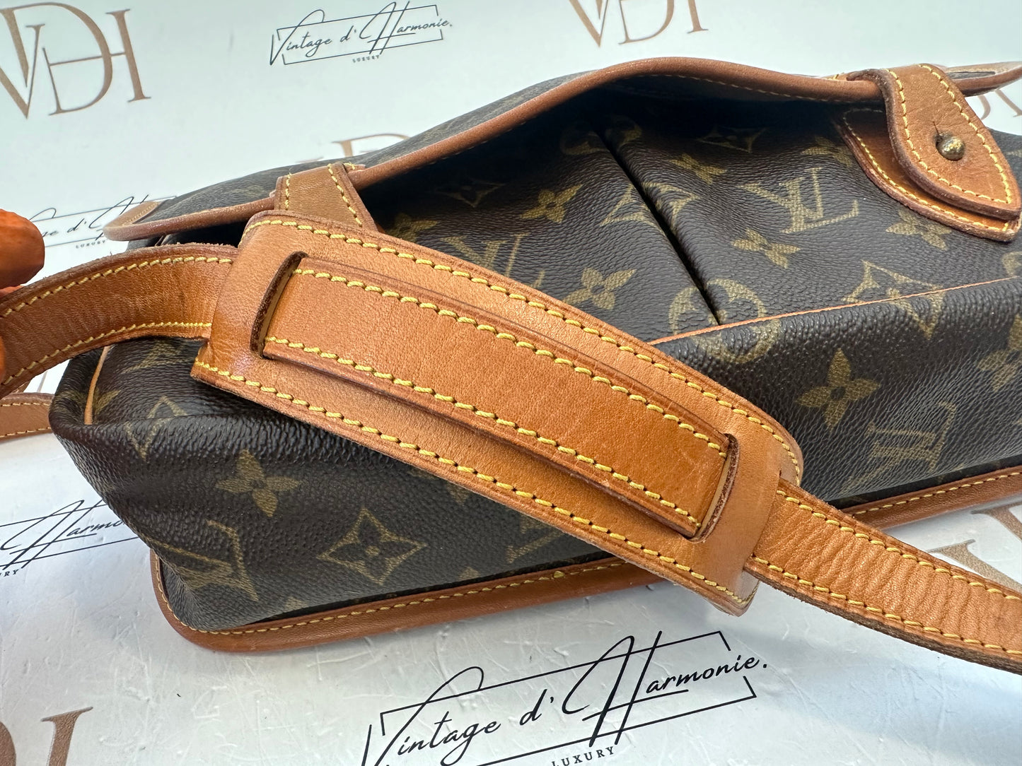 017830 - Louis Vuitton Gibeciere MM