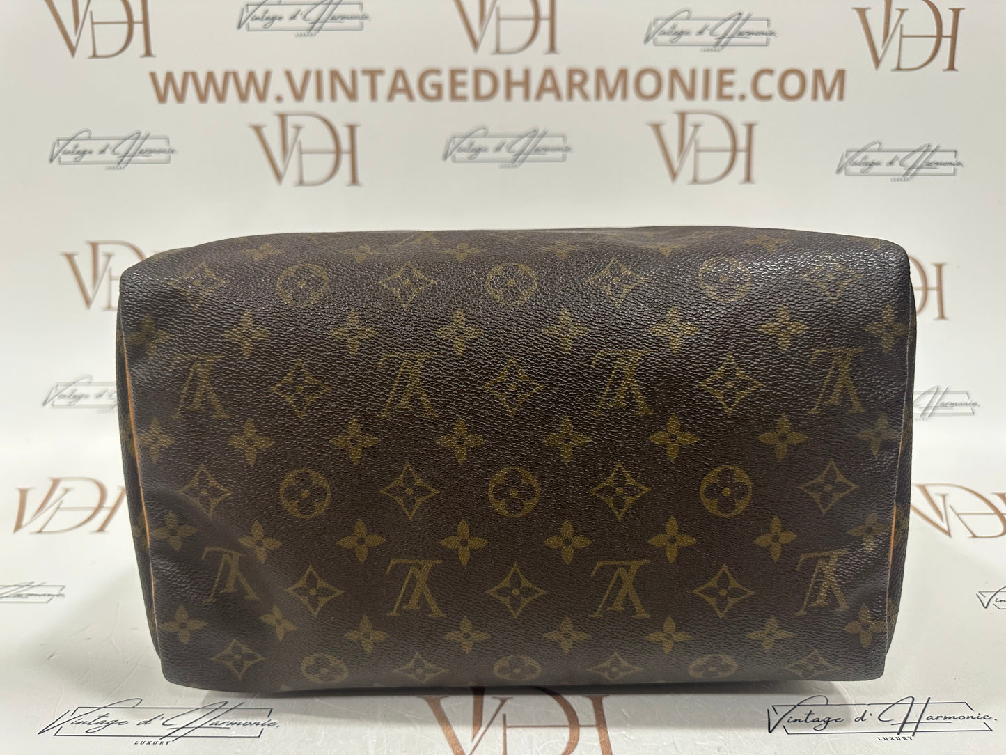 017724 - Louis Vuitton Speedy 30