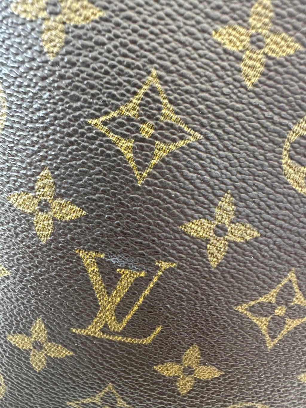 Louis Vuitton Deauville