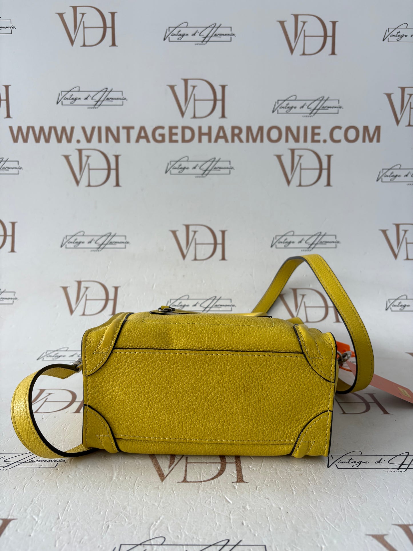201654 - Céline Nano