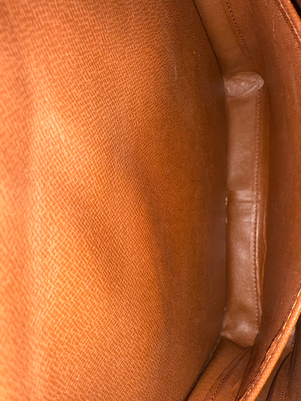 Louis Vuitton Cartouchiere GM