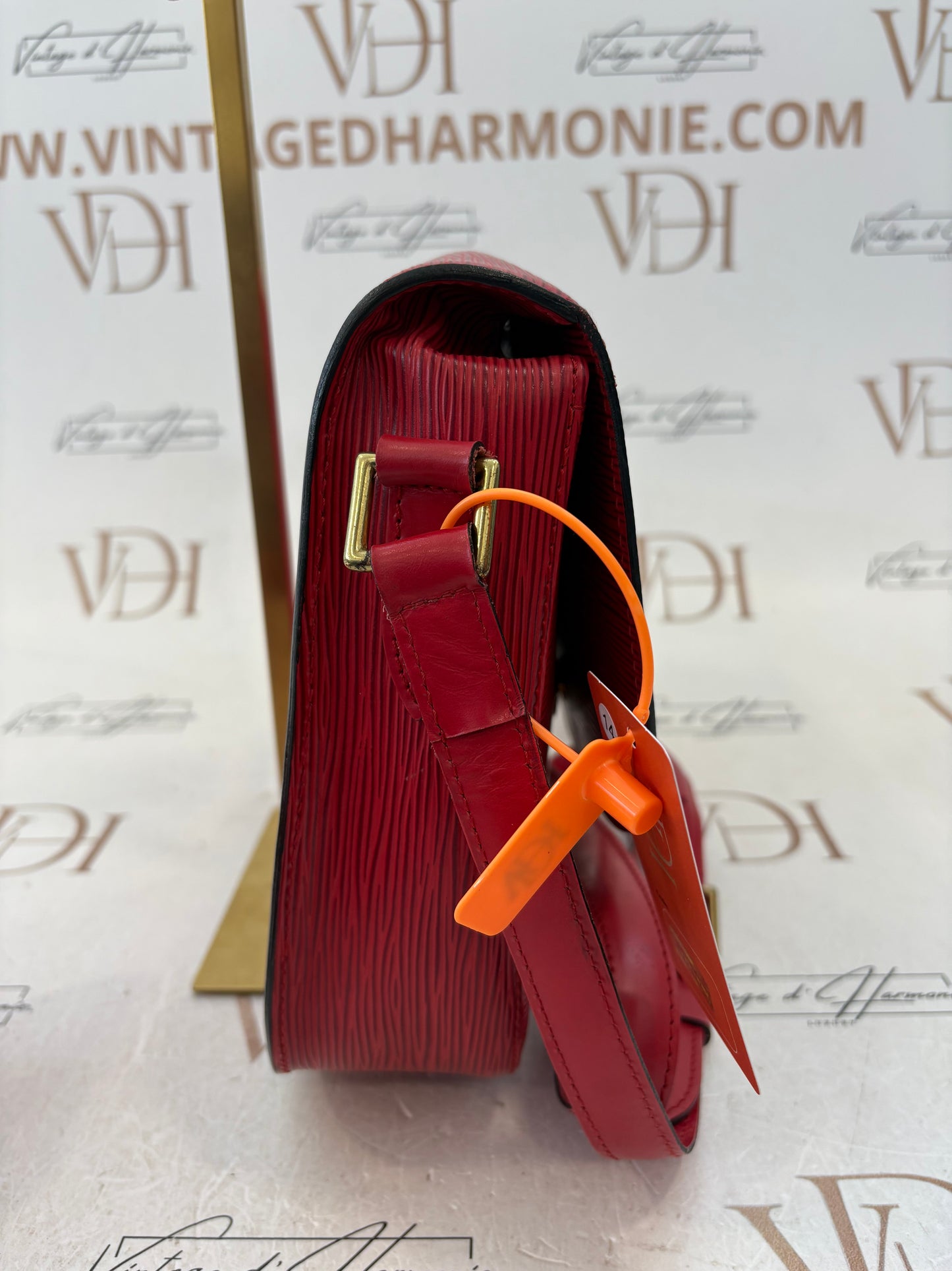 201111 - Louis Vuitton Saint Cloud GM
