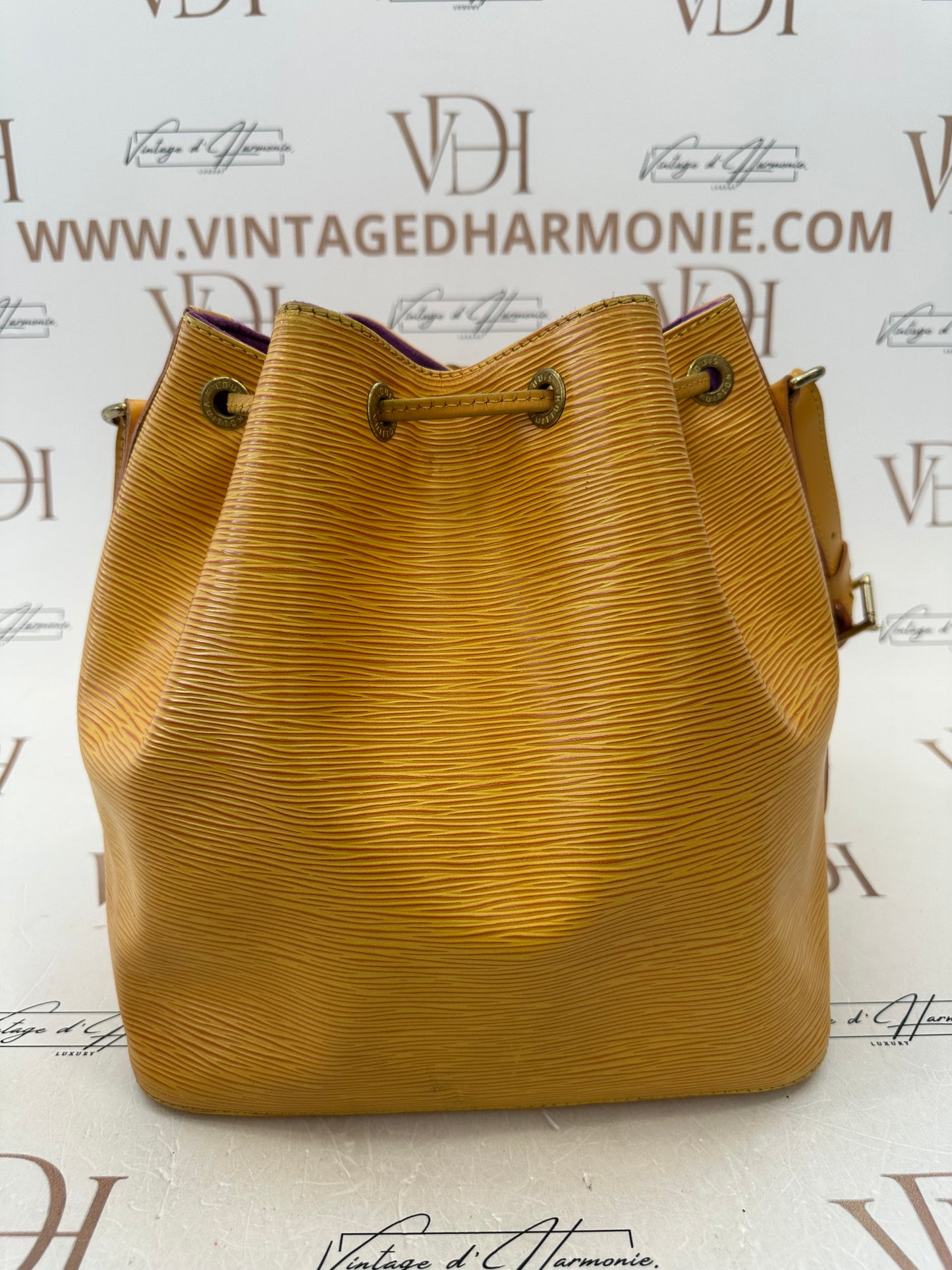 017929 - Louis Vuitton Yellow Epi Noè