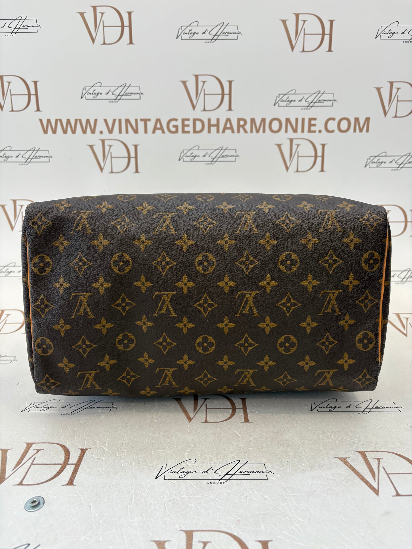 018863 - Louis Vuitton Speedy 35