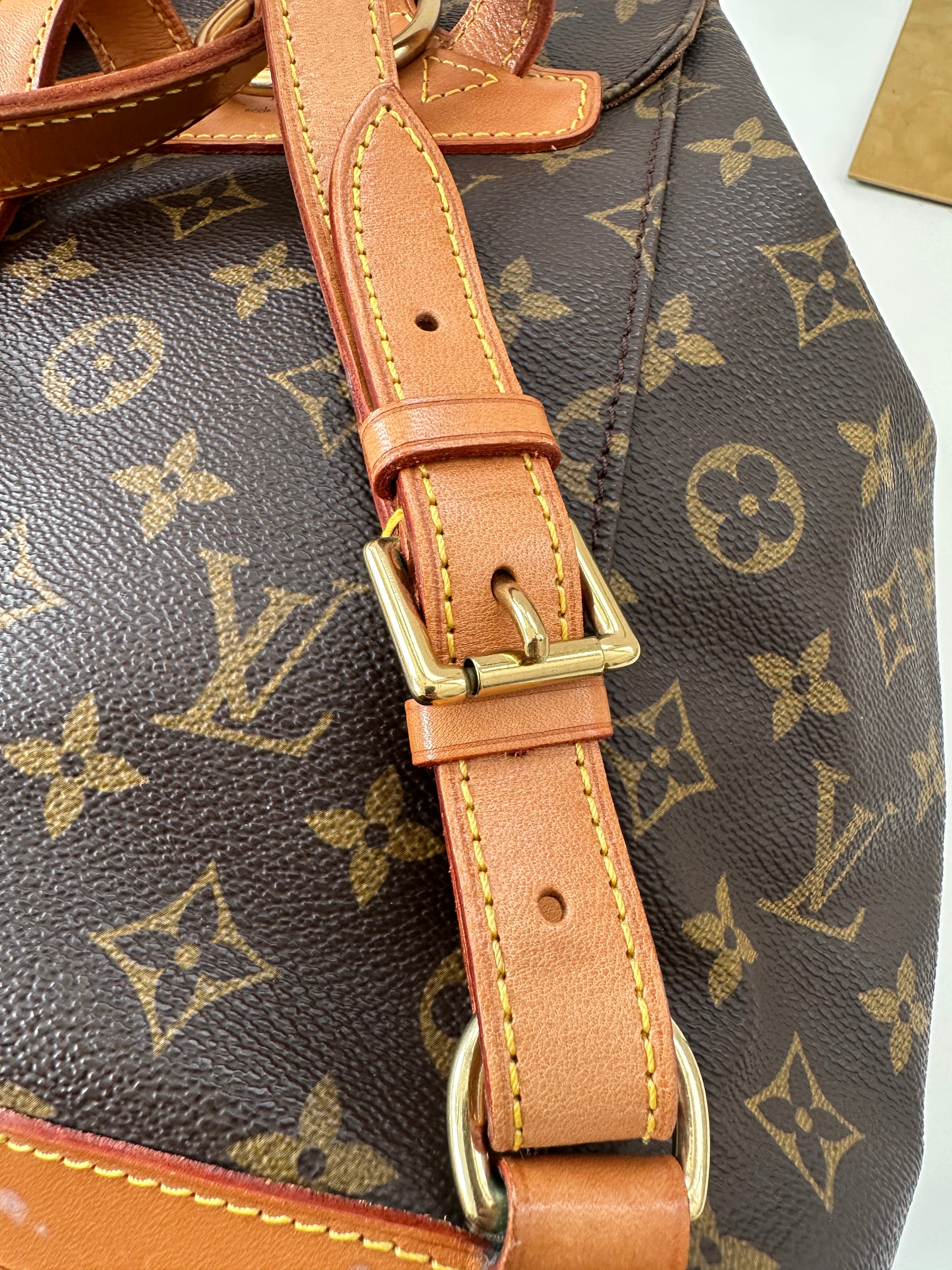 Louis Vuitton Montsouris MM