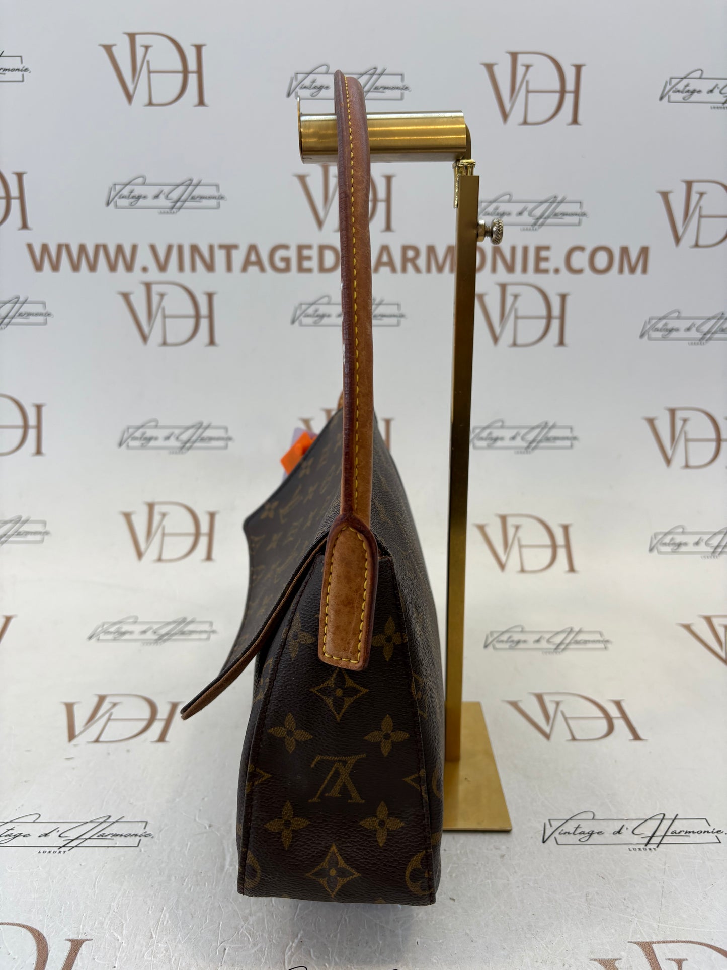 016956 - Louis Vuitton Mini Looping