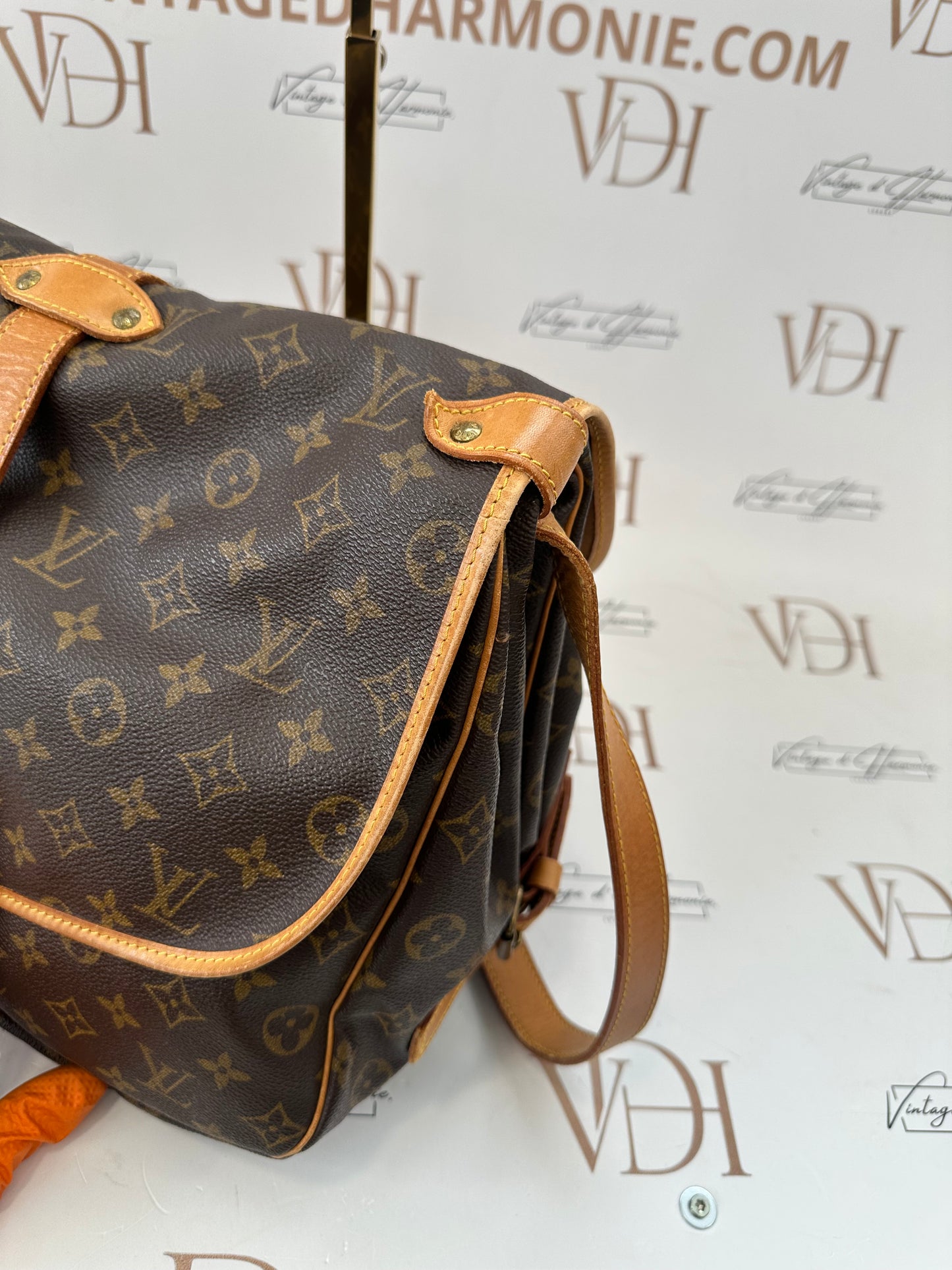 018125 - Louis Vuitton Saumur 35