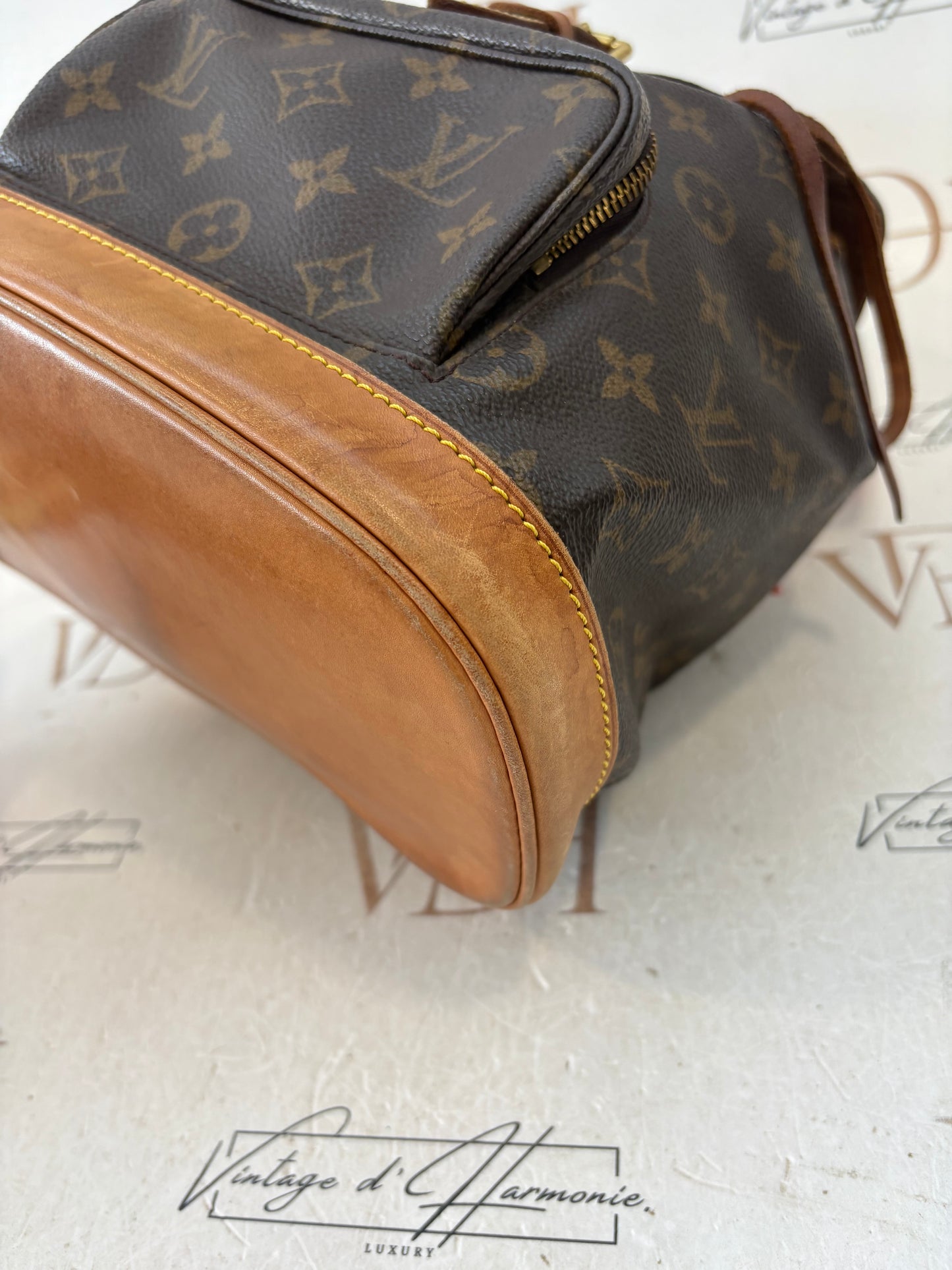 018375 - Louis Vuitton Montsouris MM