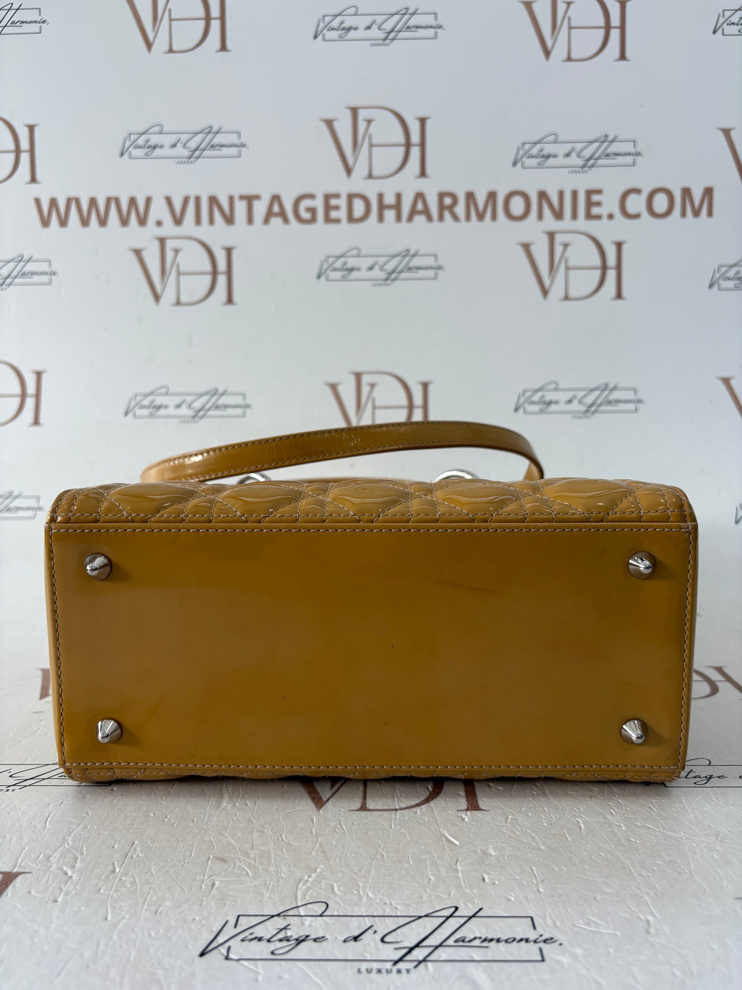 383847 - Dior Lady