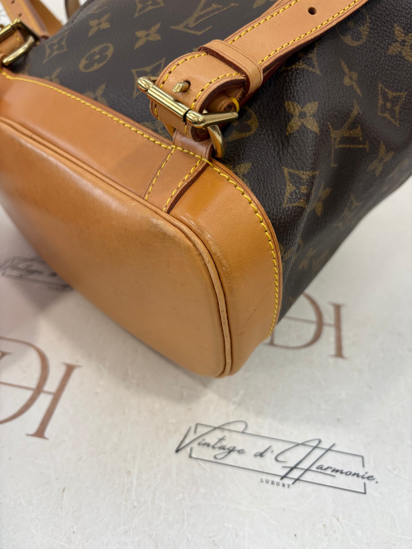 018531 - Louis Vuitton Montsouris MM