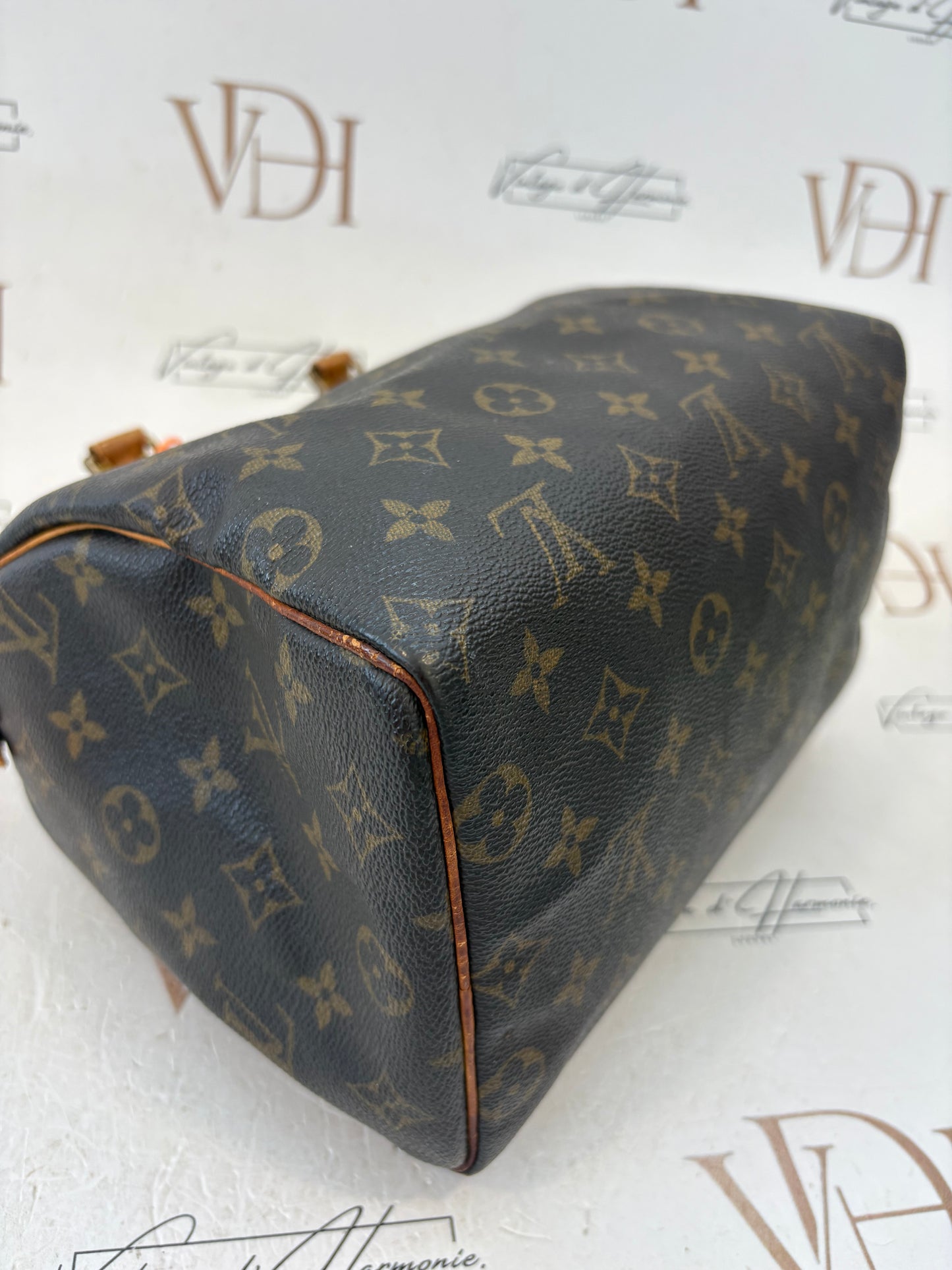 017317 - Louis Vuitton Speedy 25