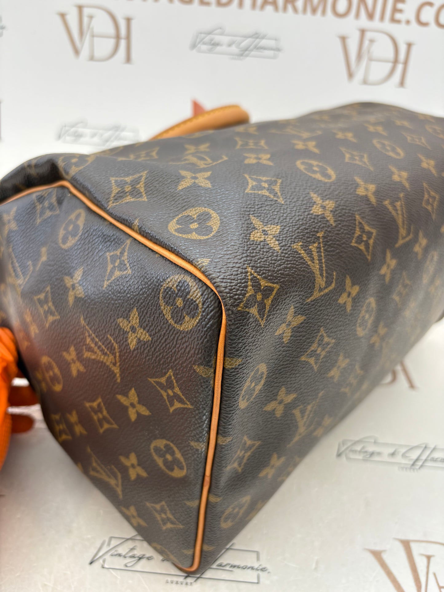 018794 - Louis Vuitton Speedy 35