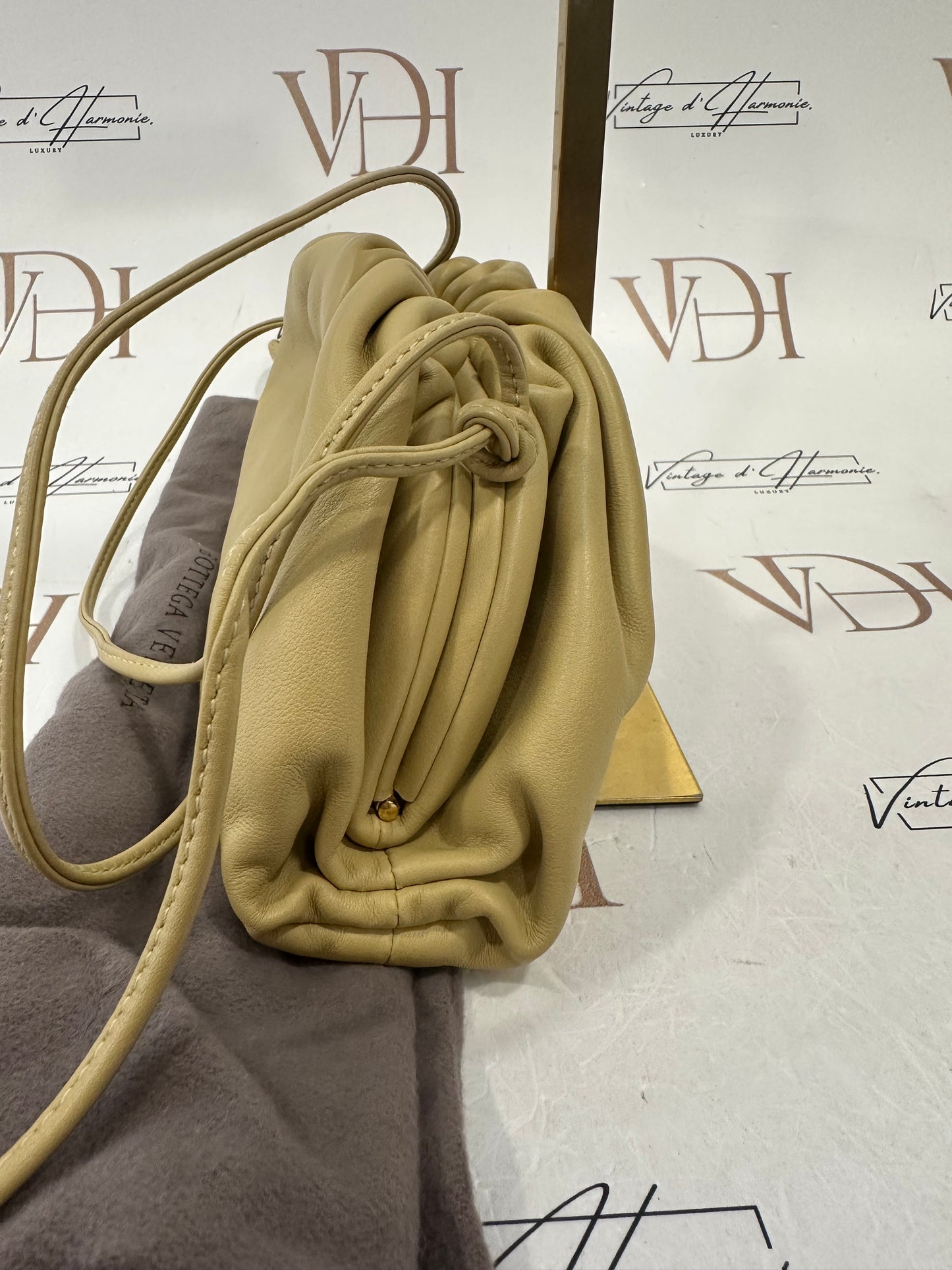 382779 - Bottega Veneta Pouch