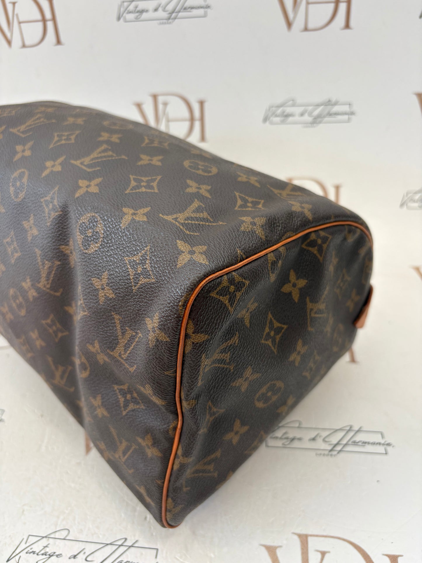 201793 - Louis Vuitton Speedy 30